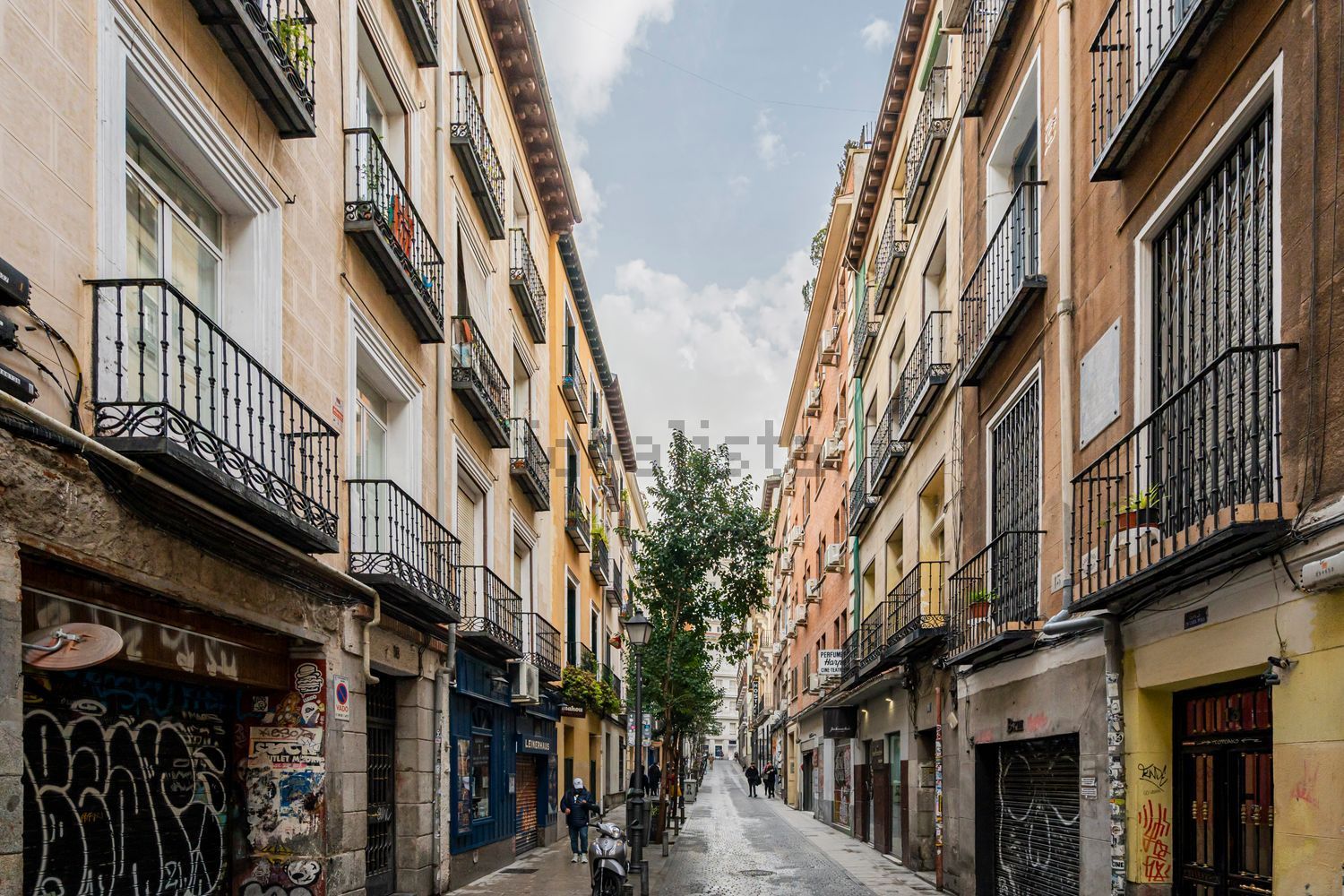 Stanza in affitto, Madrid