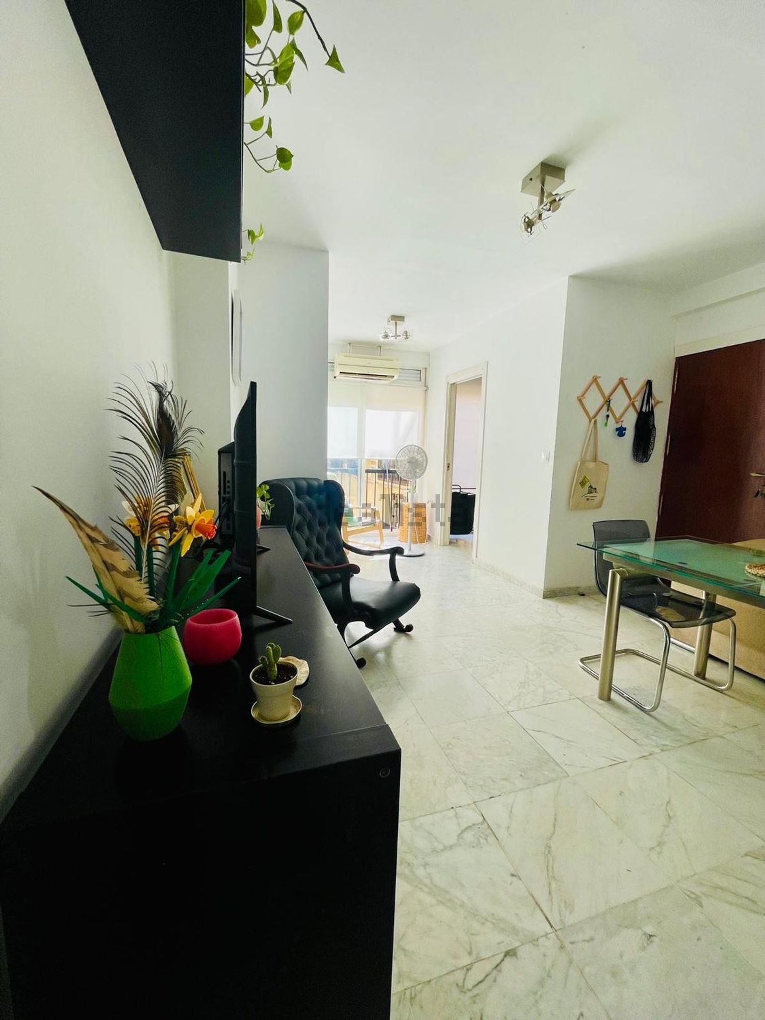Habitació de lloguer, Sevilla