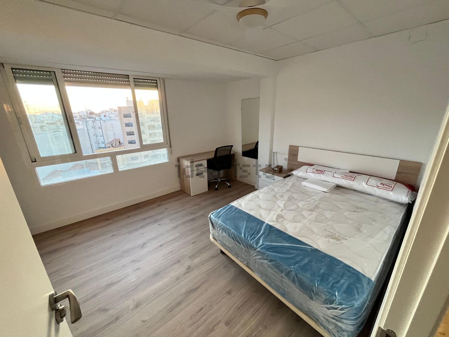 Habitació de lloguer, Elx