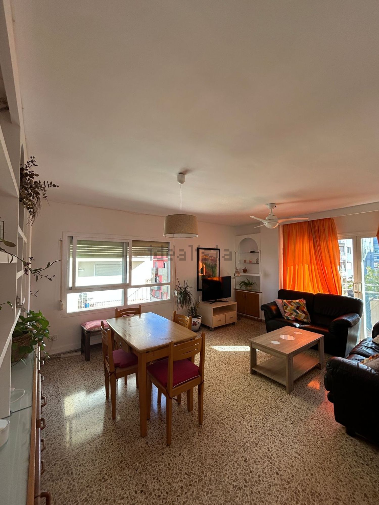 Habitació de lloguer, Palma