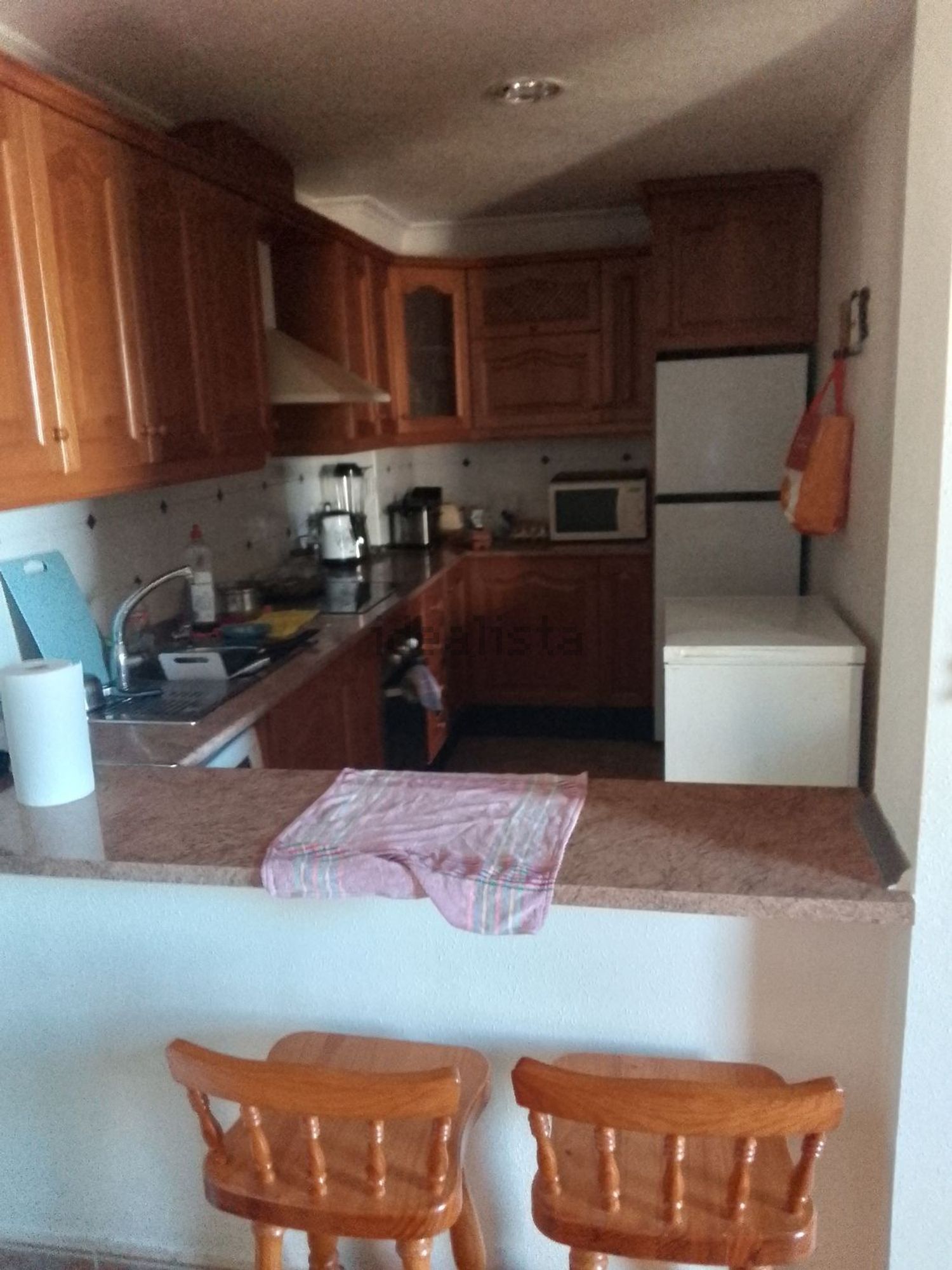 Habitació de lloguer, Oriola
