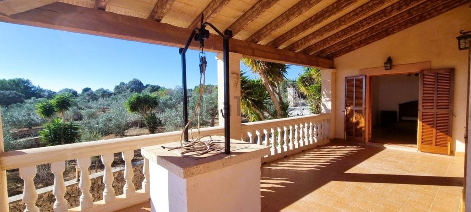 Appartement 900 m² à Felanitx