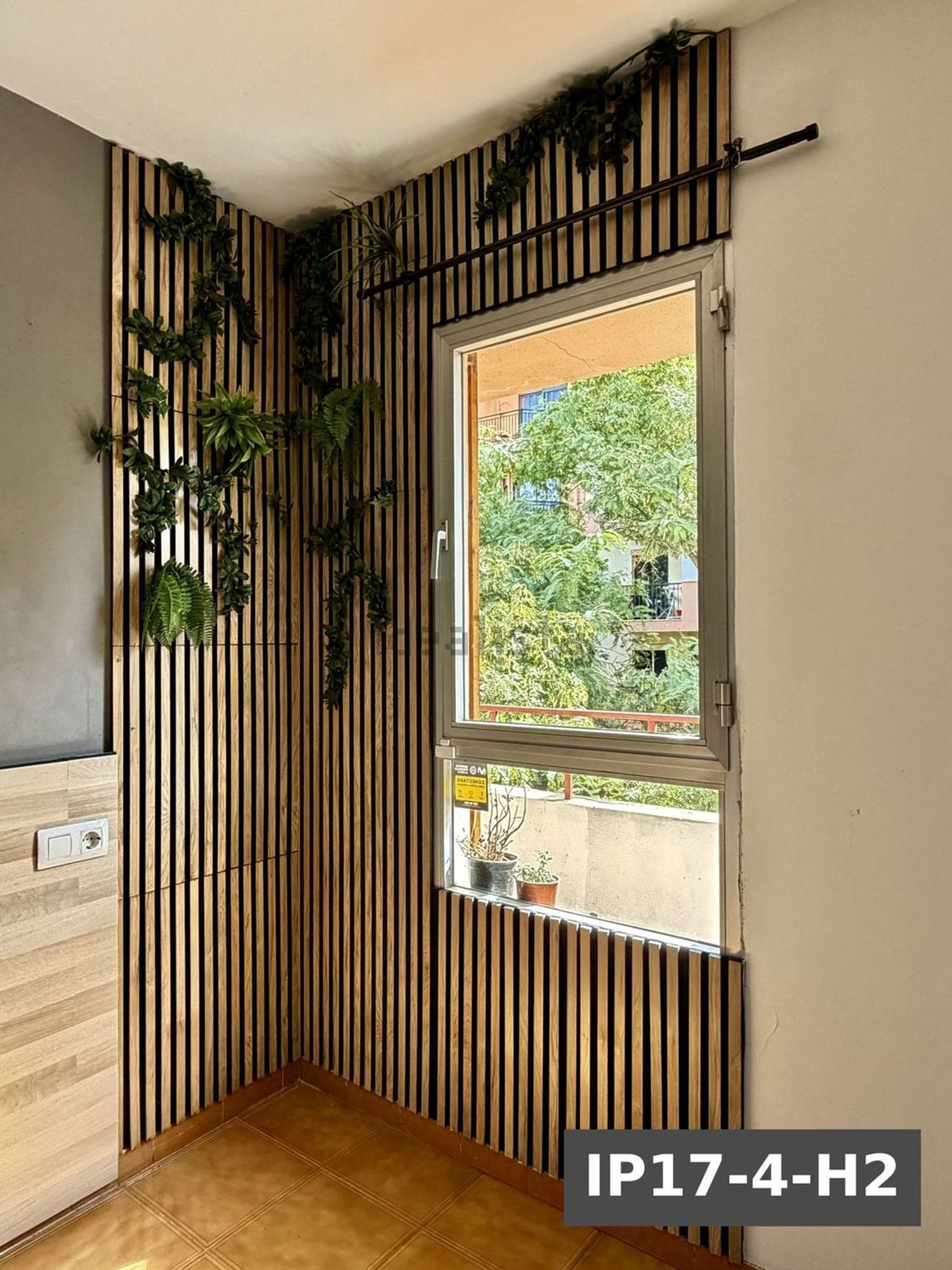 Habitació de lloguer, Palma