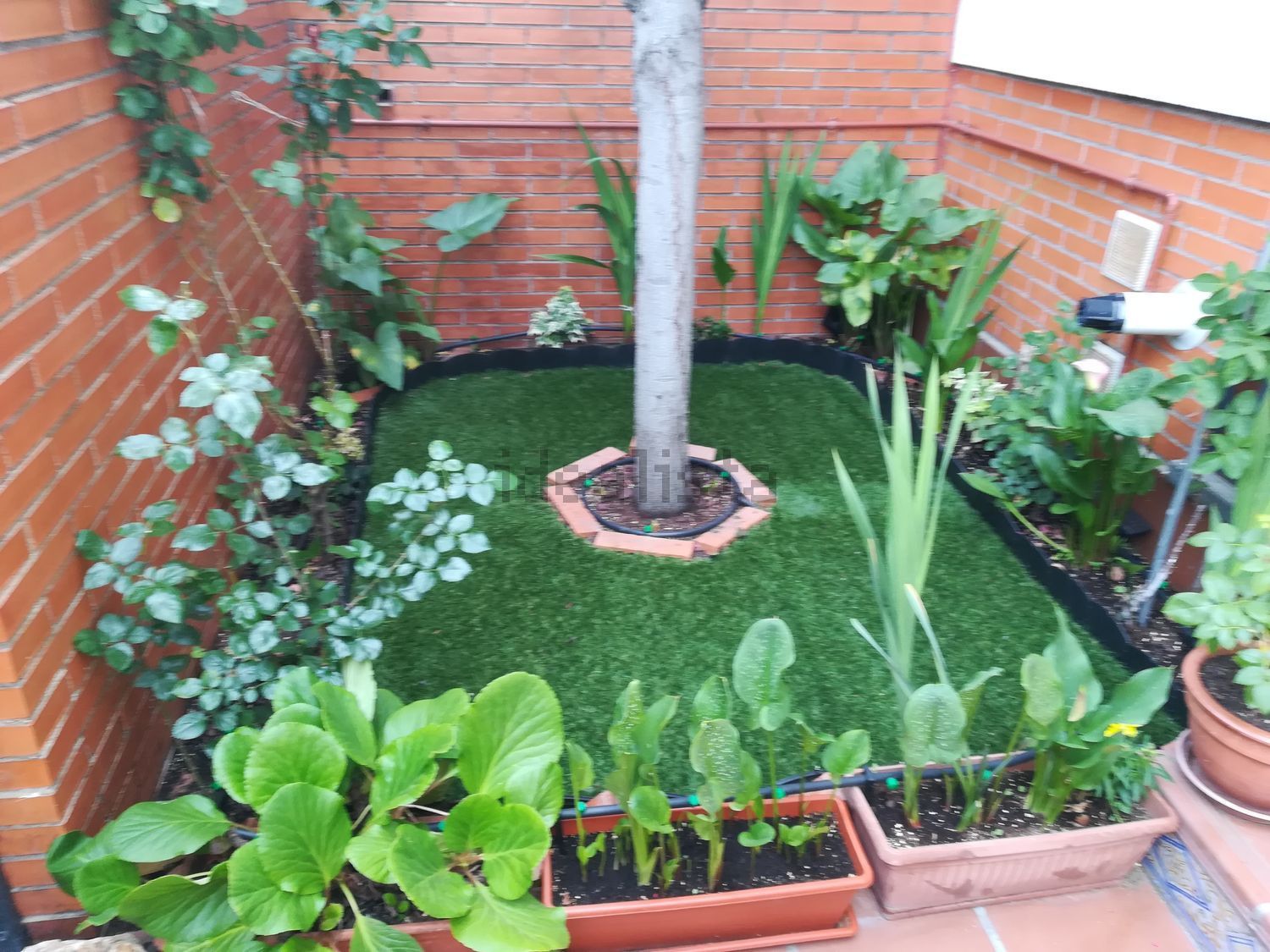 Habitación en alquiler, Madrid