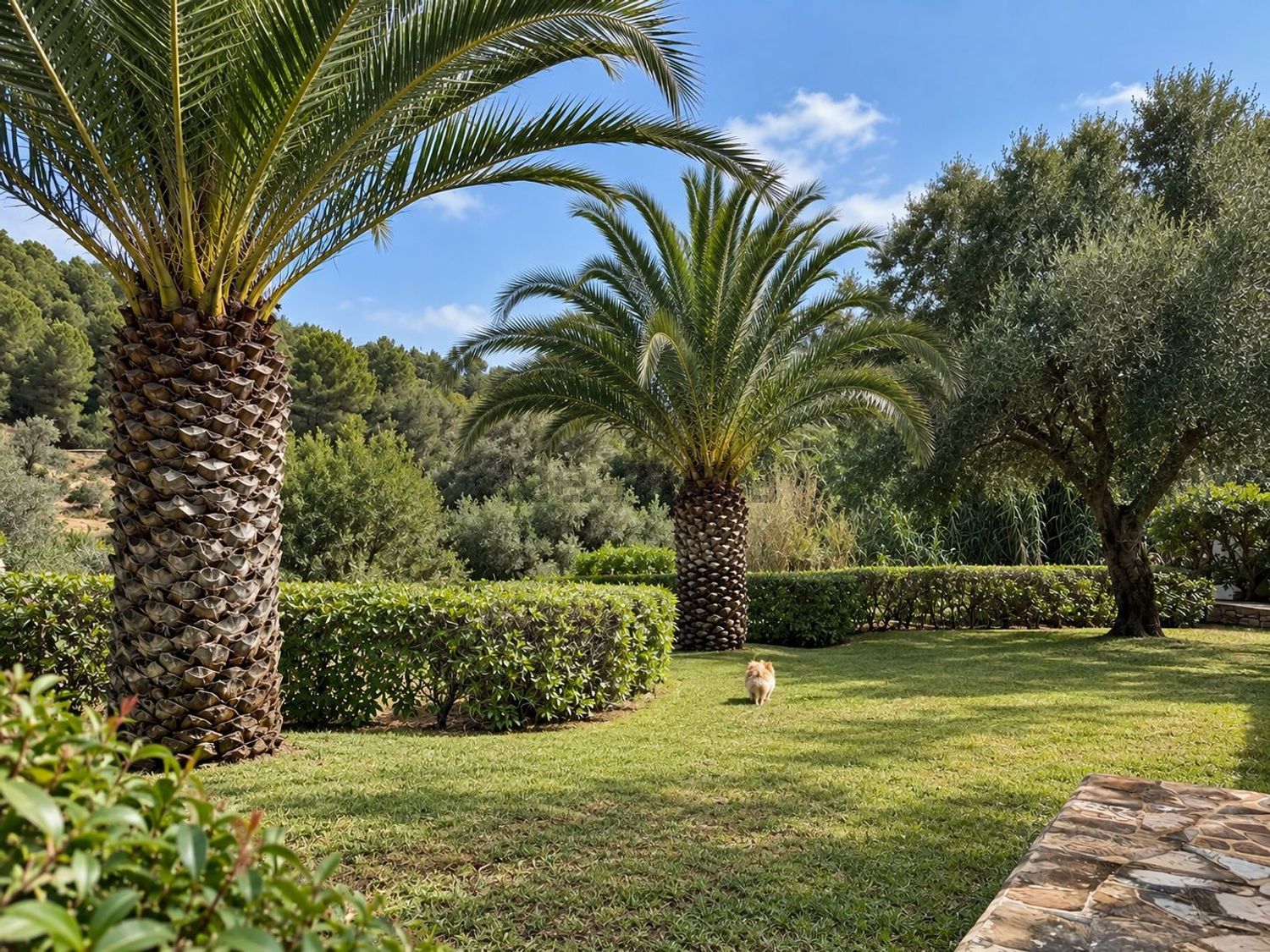 Casa de 230 m² a Sant Joan de Labritja