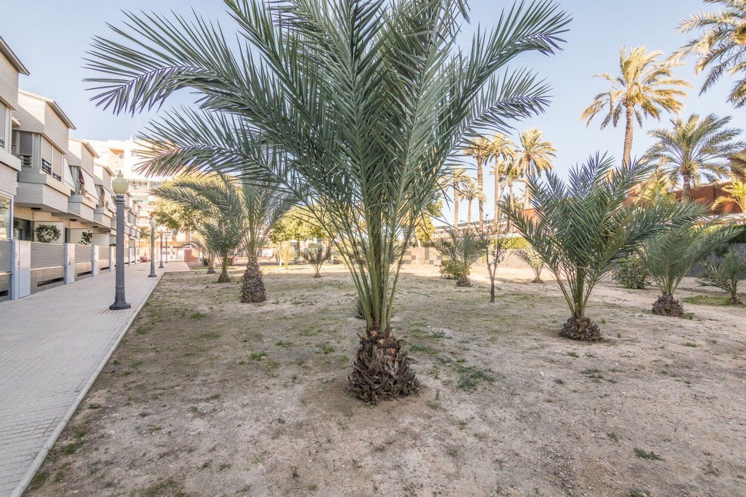 Appartement 180 m² à Elx / Elche
