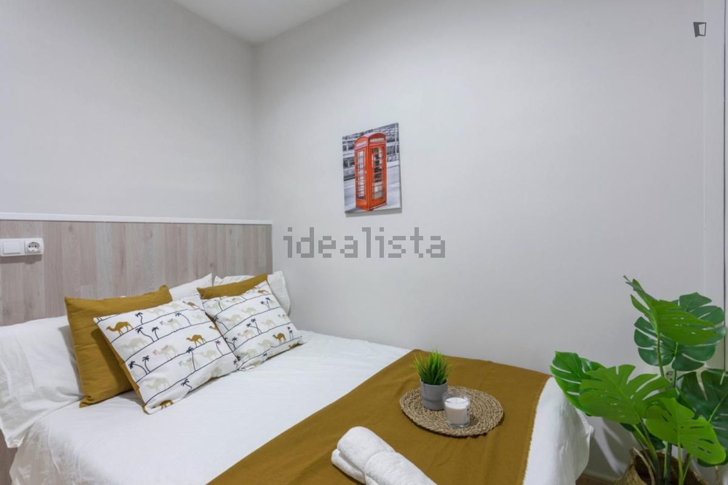 Stanza in affitto, Valencia