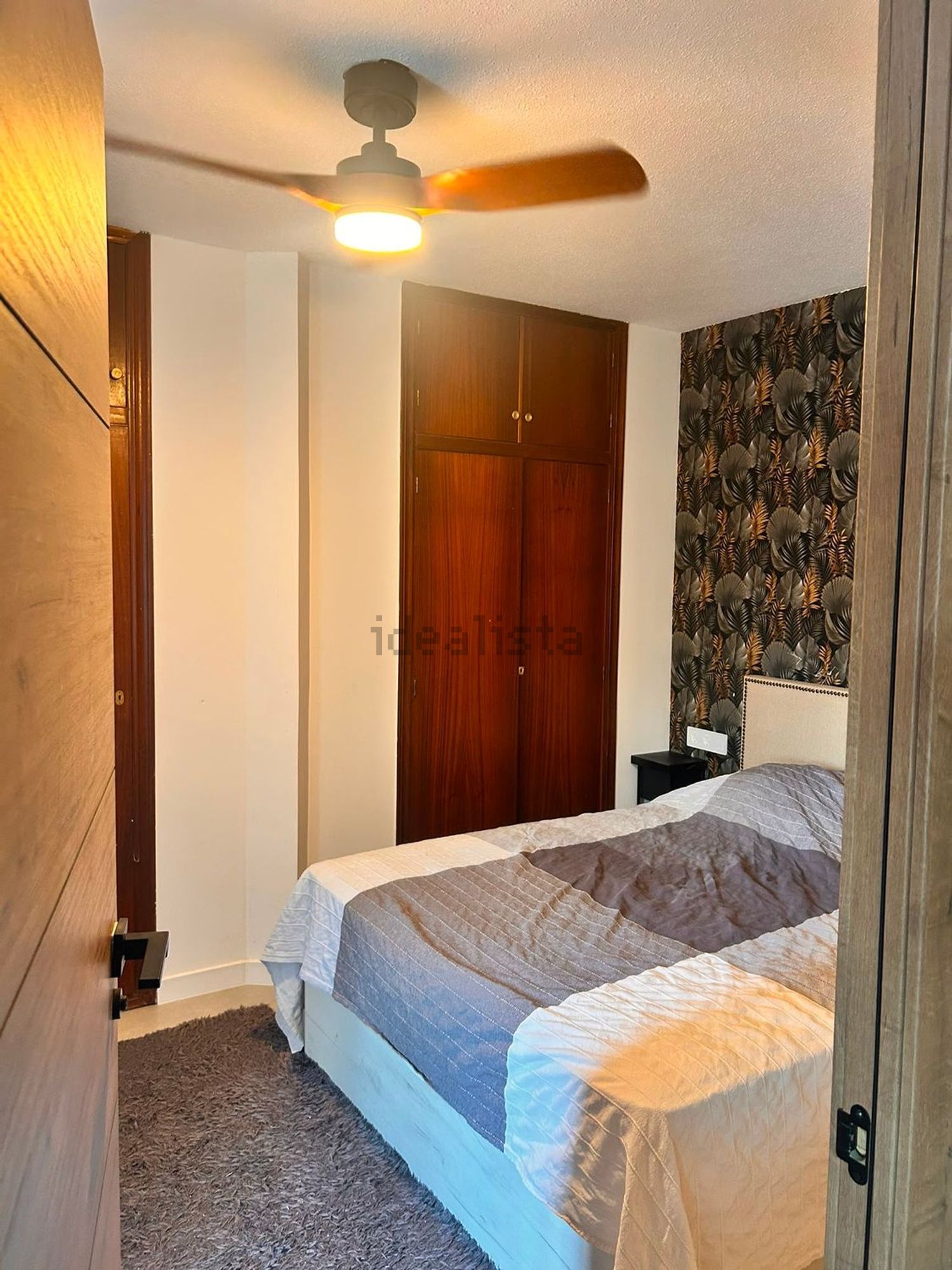 Habitació de lloguer, Alacant