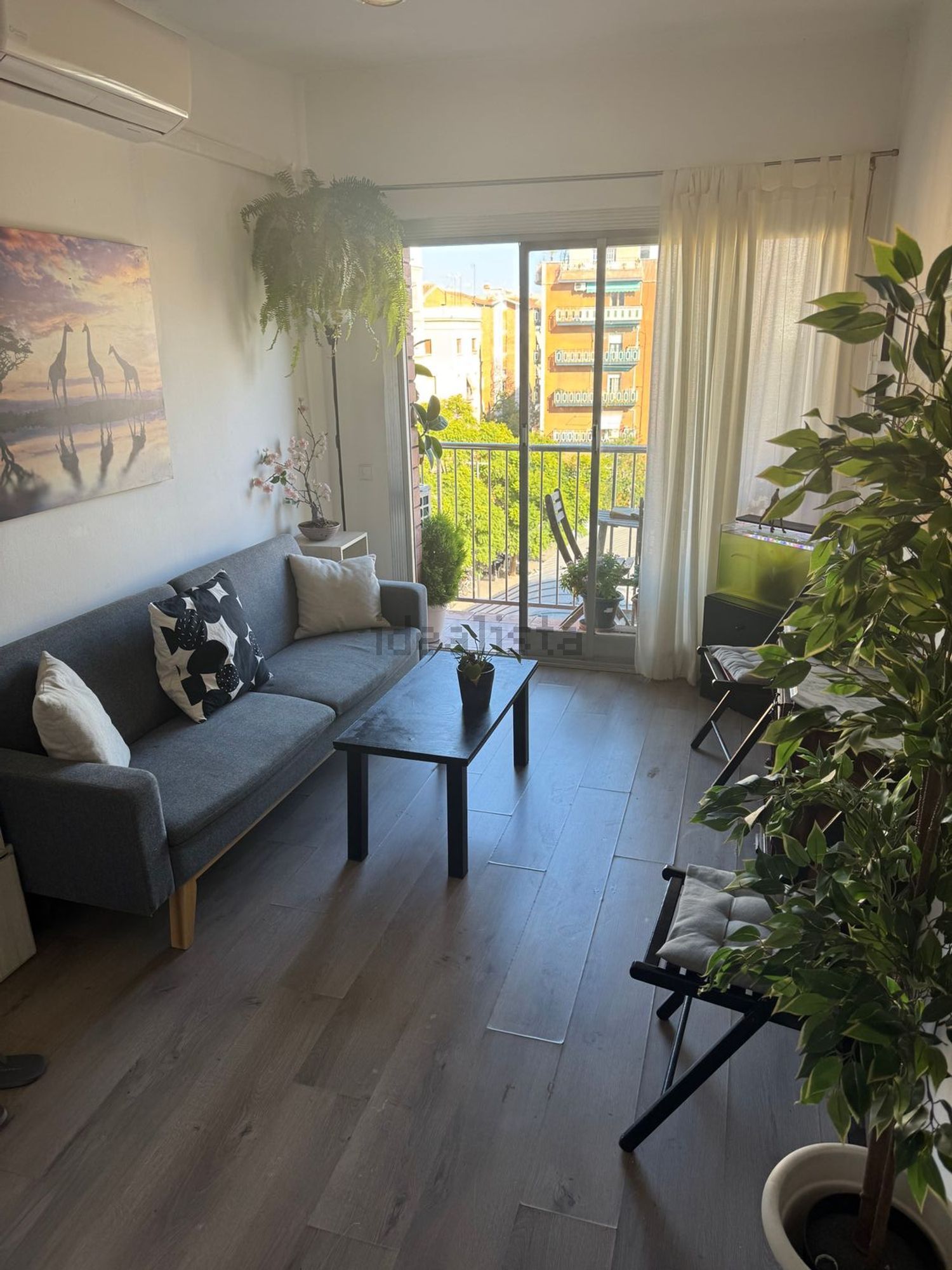 Habitació de lloguer, Barcelona