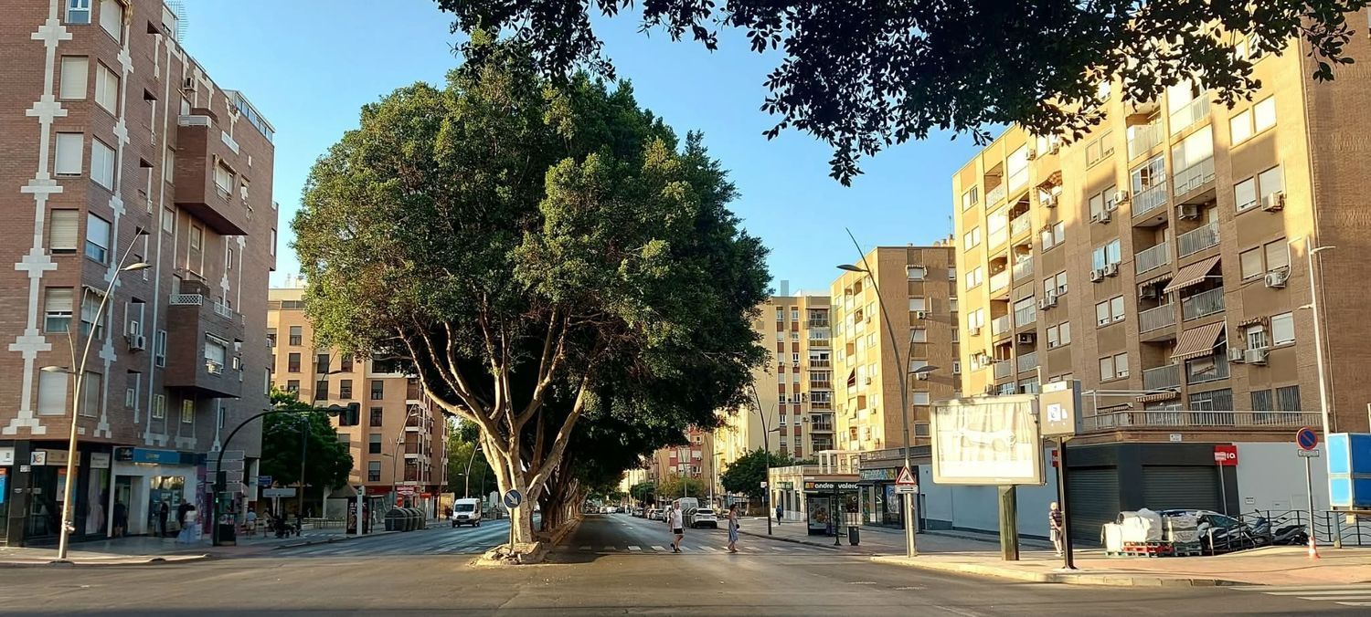 Habitació de lloguer, Almeria