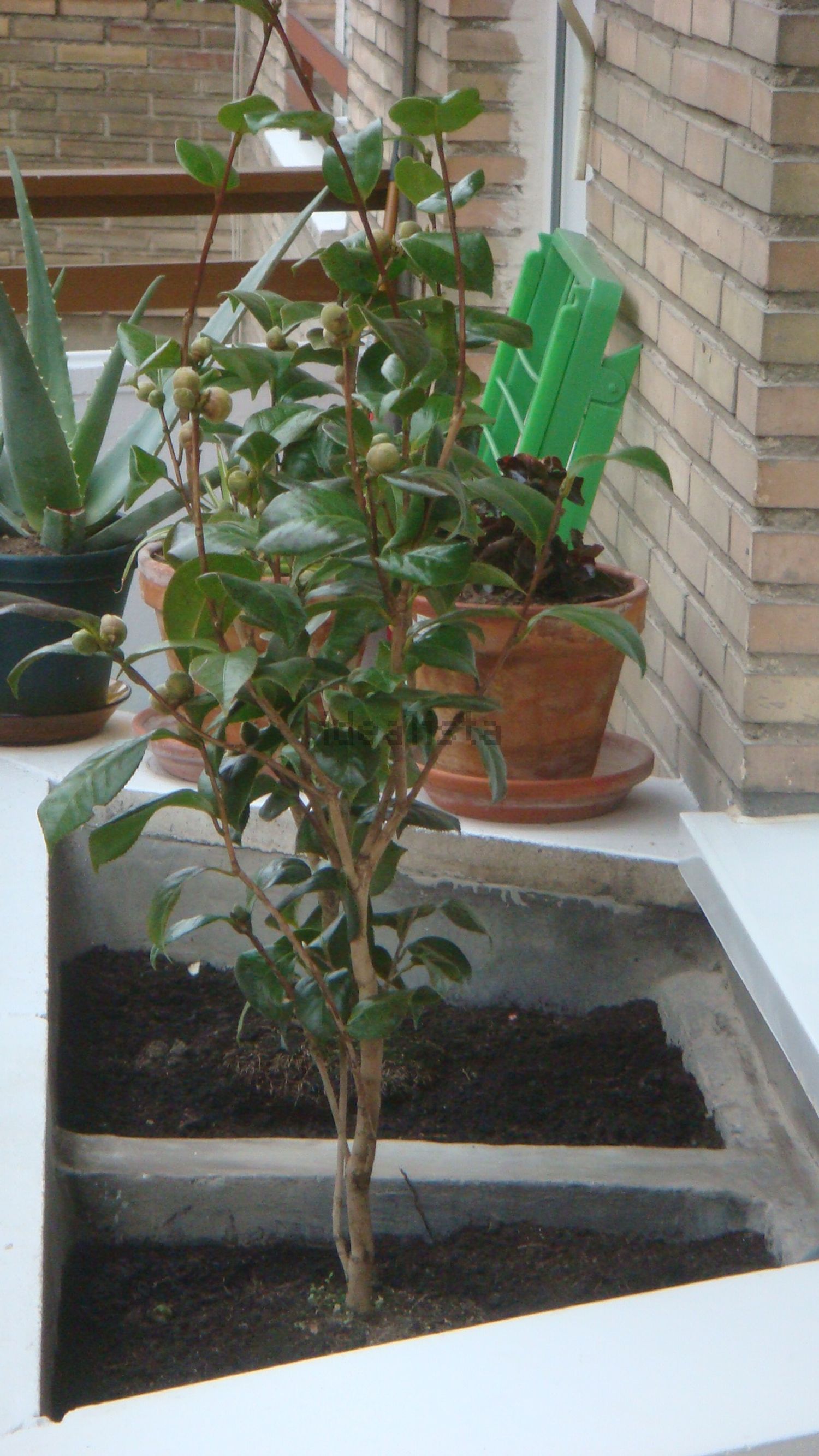 Piso de 50 m² en Madrid