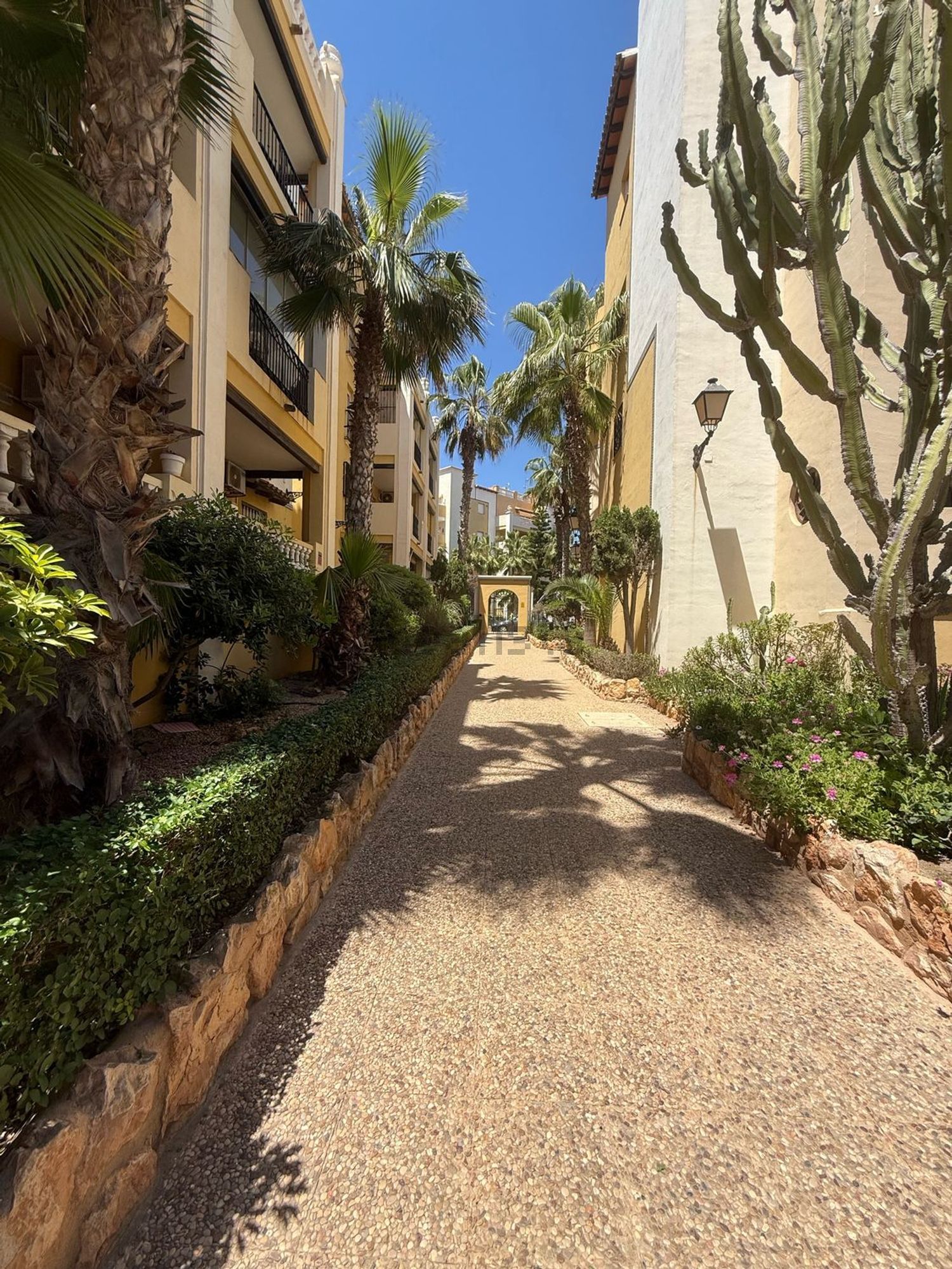 Wohnung 60 m² in Torrevieja