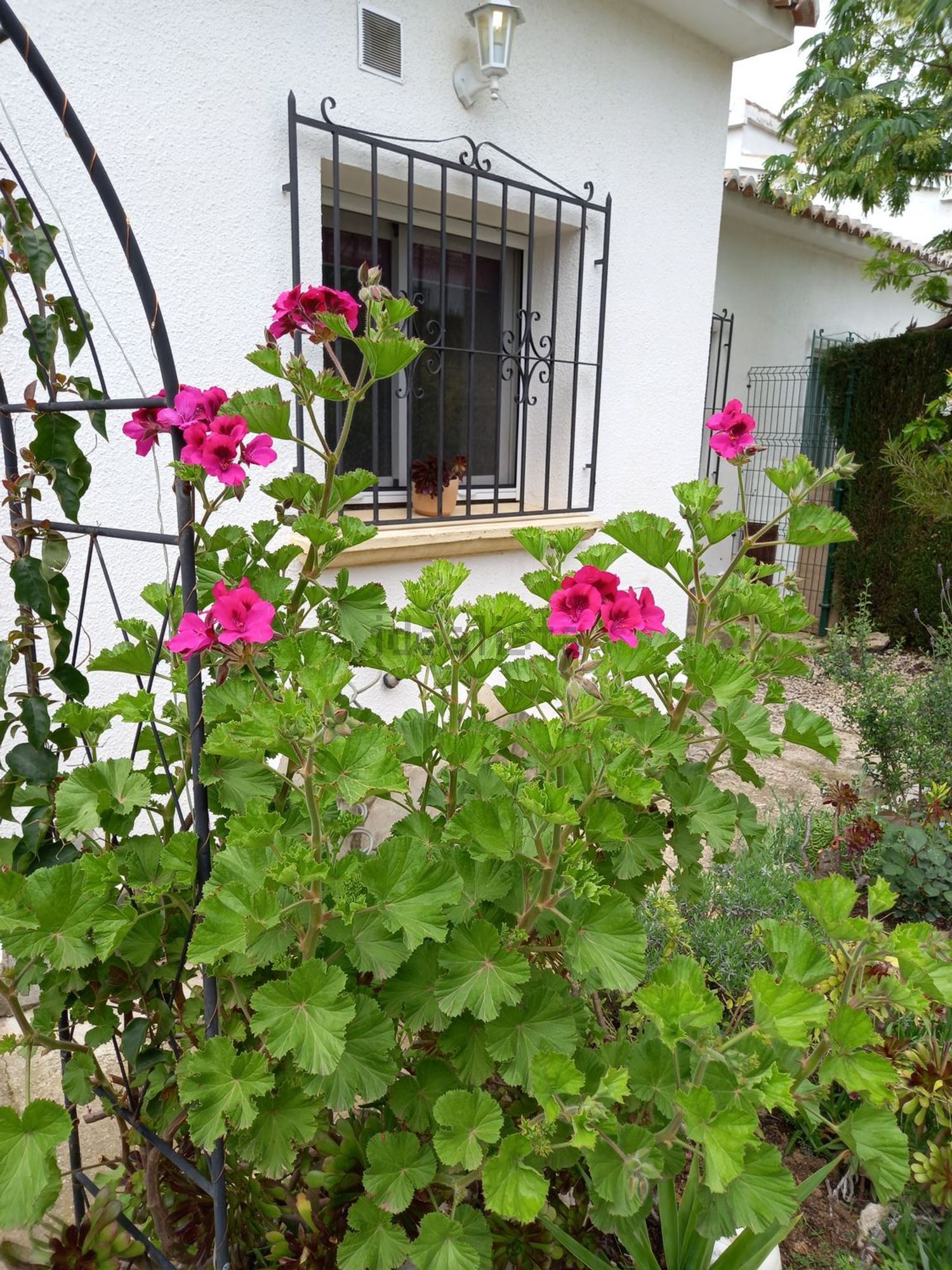 House 64 m² in Parcent