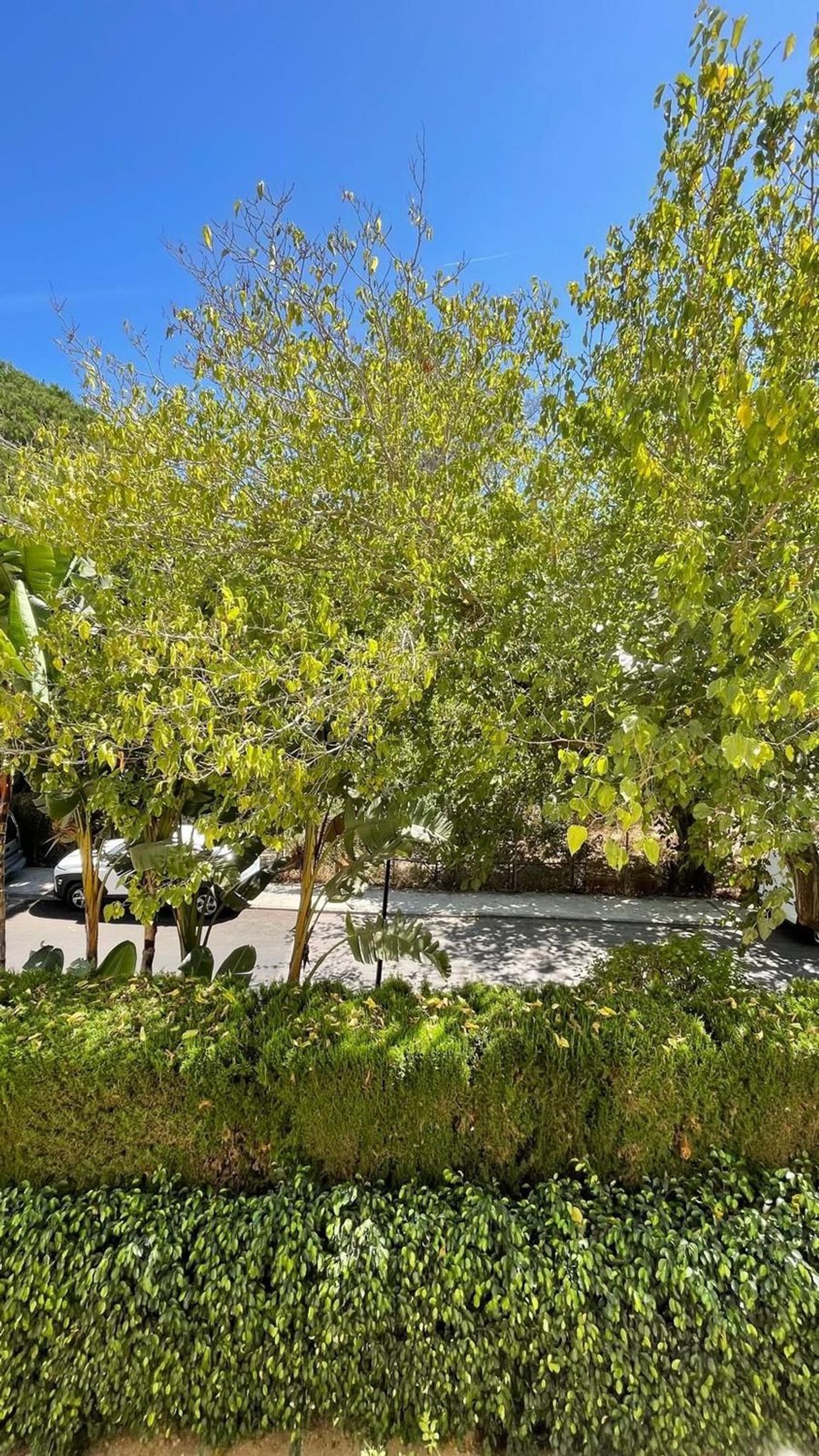 Pis de 90 m² a Marbella