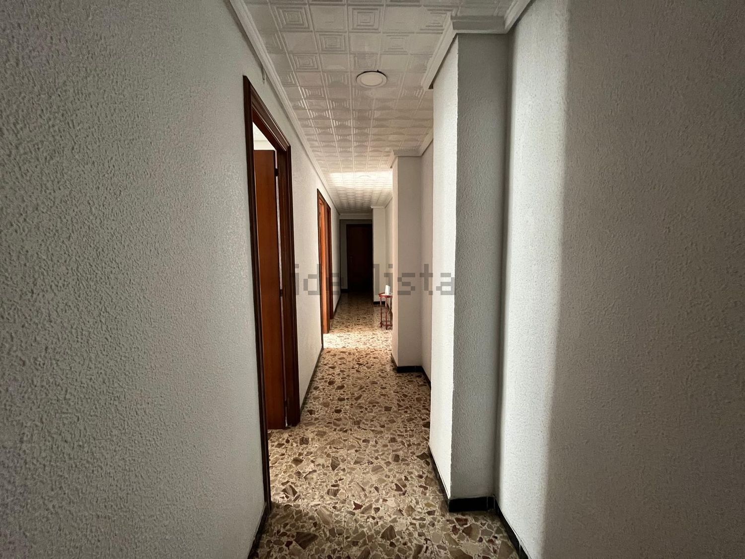Habitació de lloguer, Elx