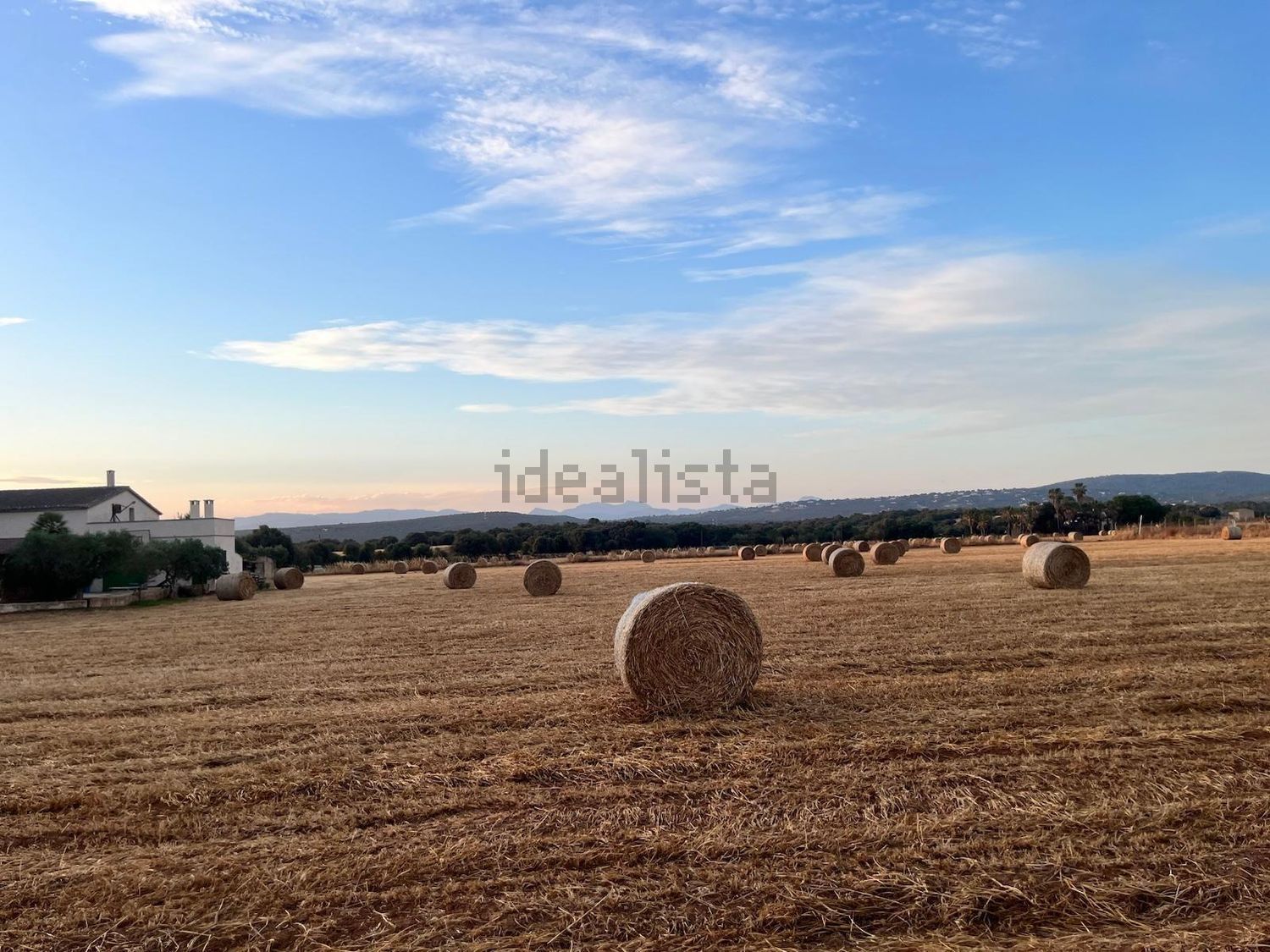 Pis de 778 m² a Palma
