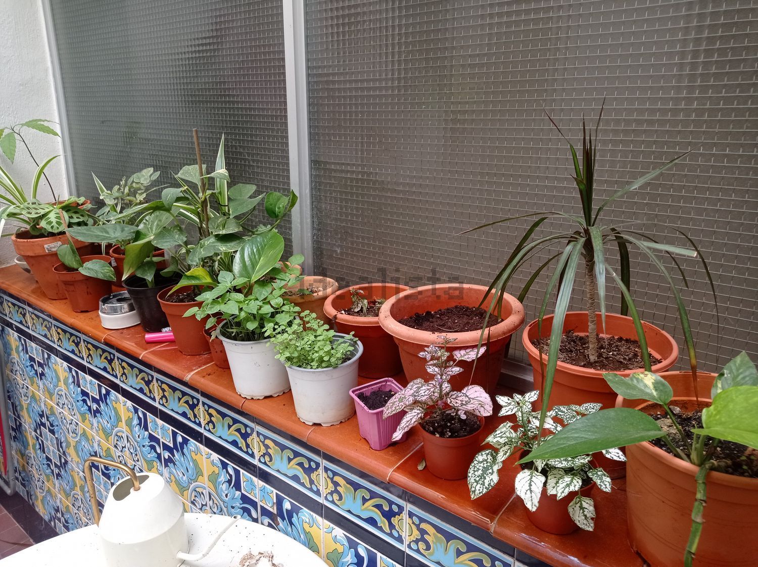 Habitació de lloguer, Sevilla