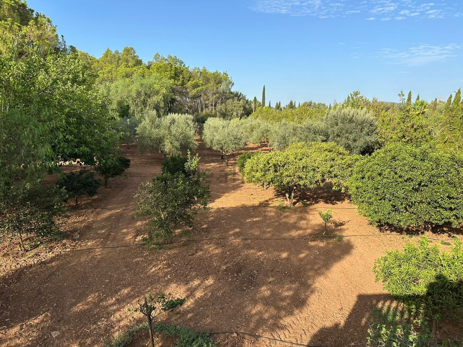 Pis de 614 m² a Sencelles