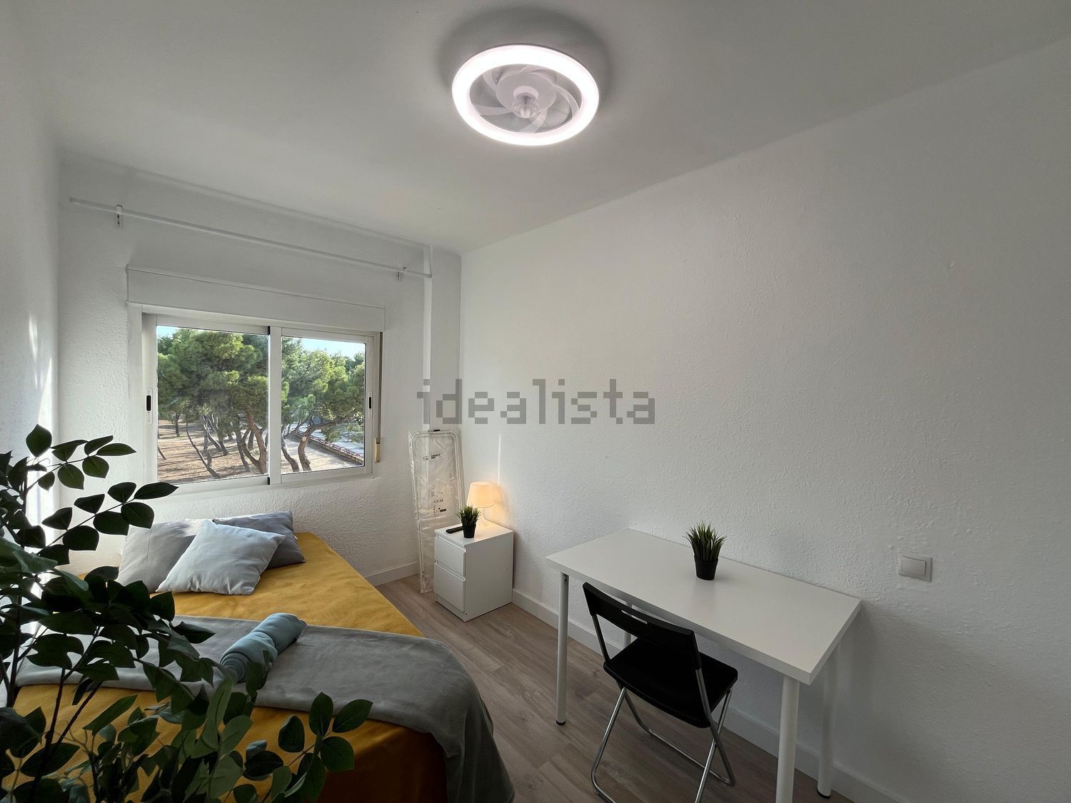 Habitació de lloguer, Saragossa