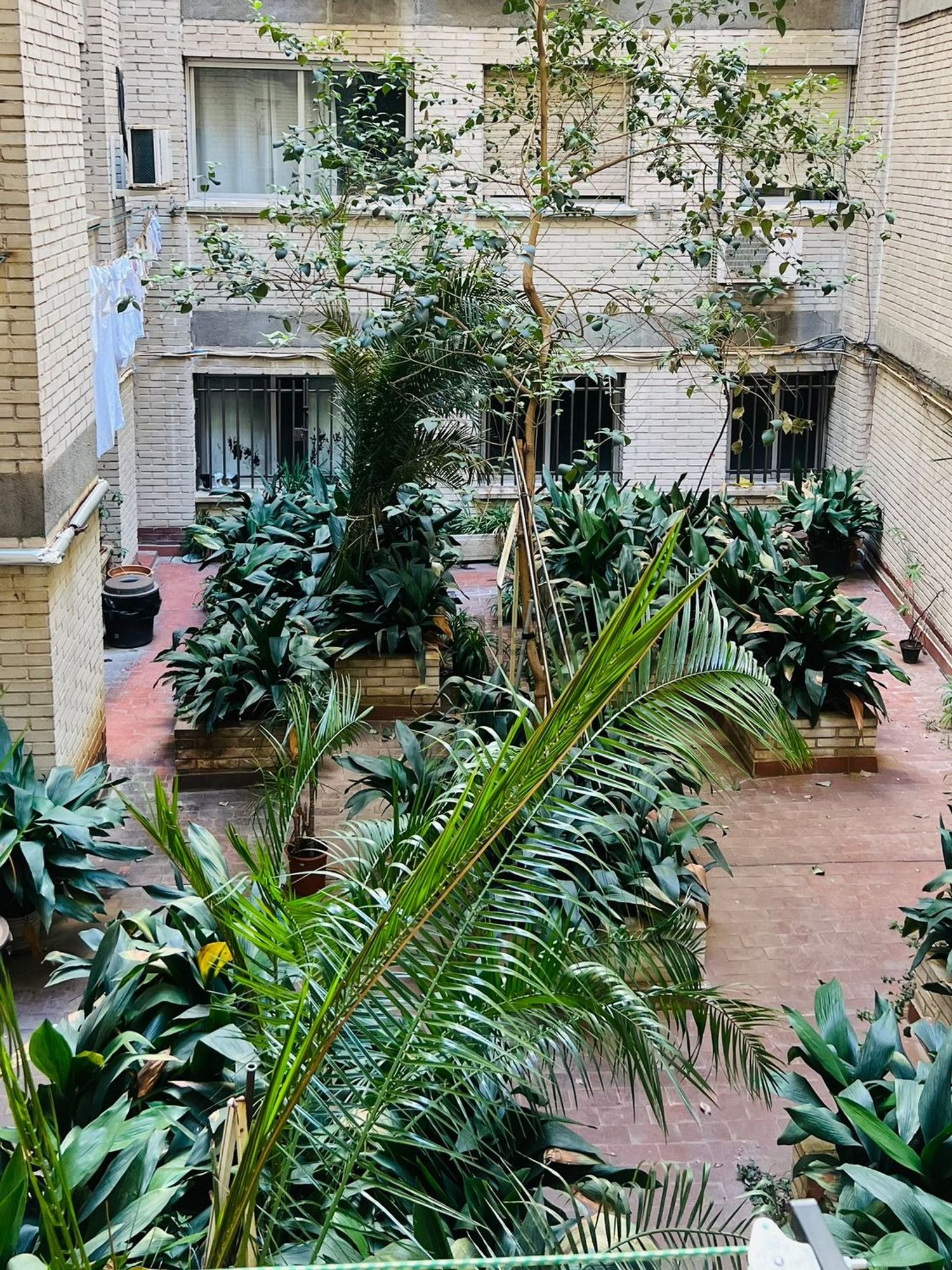 Piso de 20 m² en Madrid
