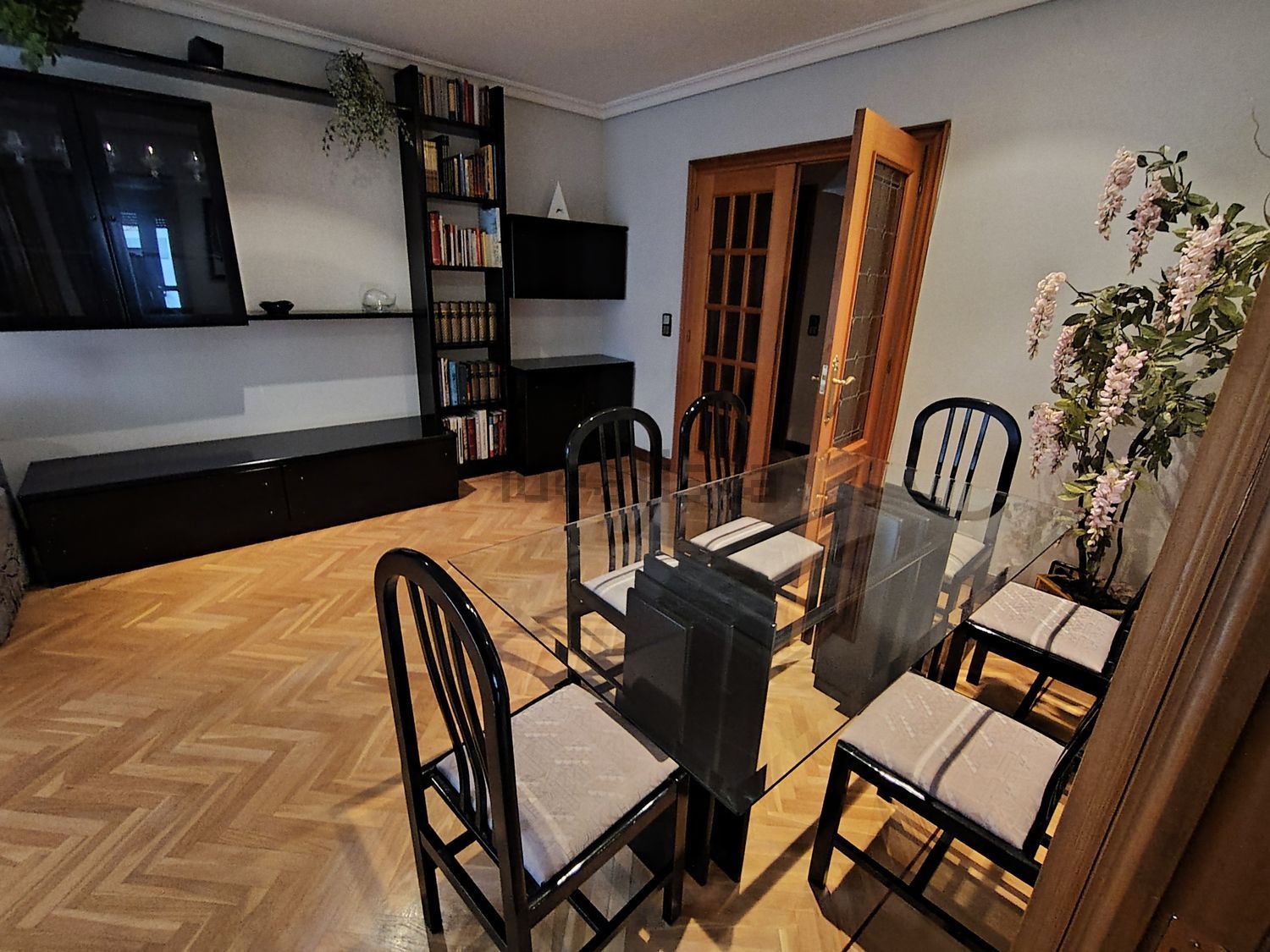 Habitació de lloguer, Palencia
