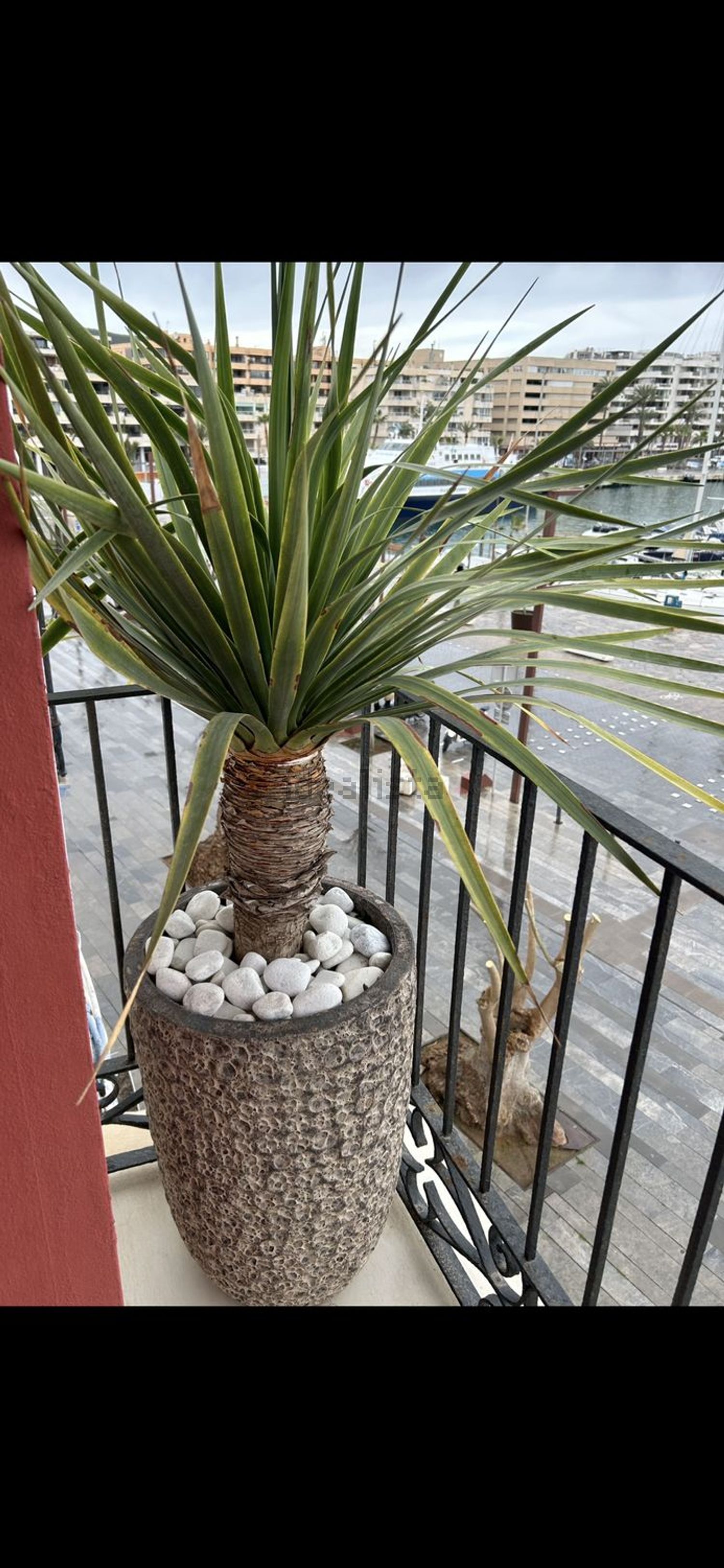 Piso de 45 m² en Ibiza