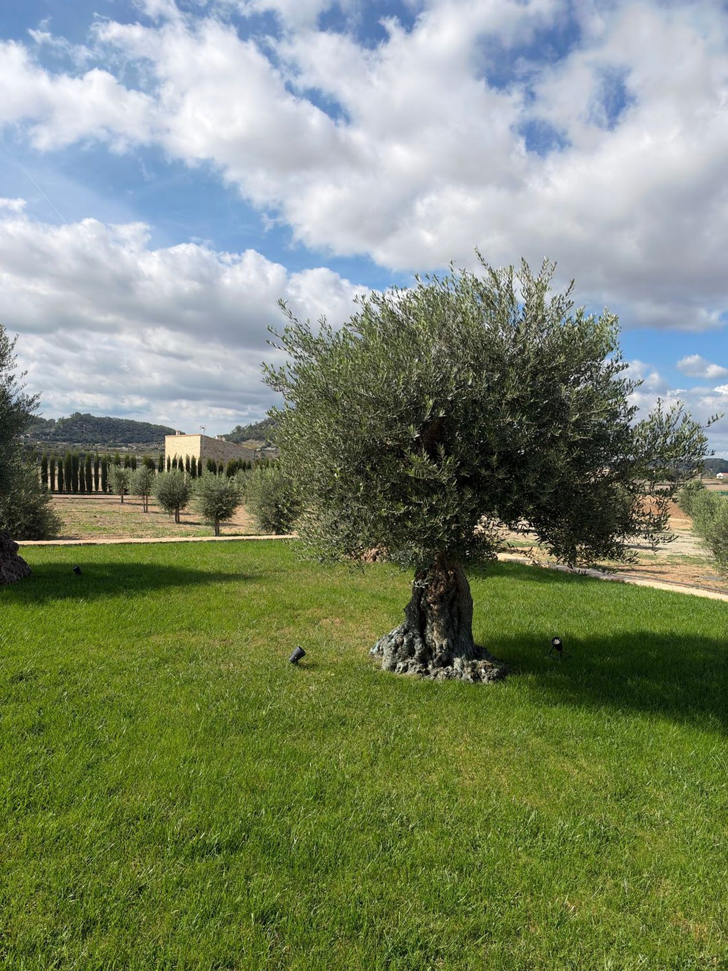 Moradia 340 m² em Sineu