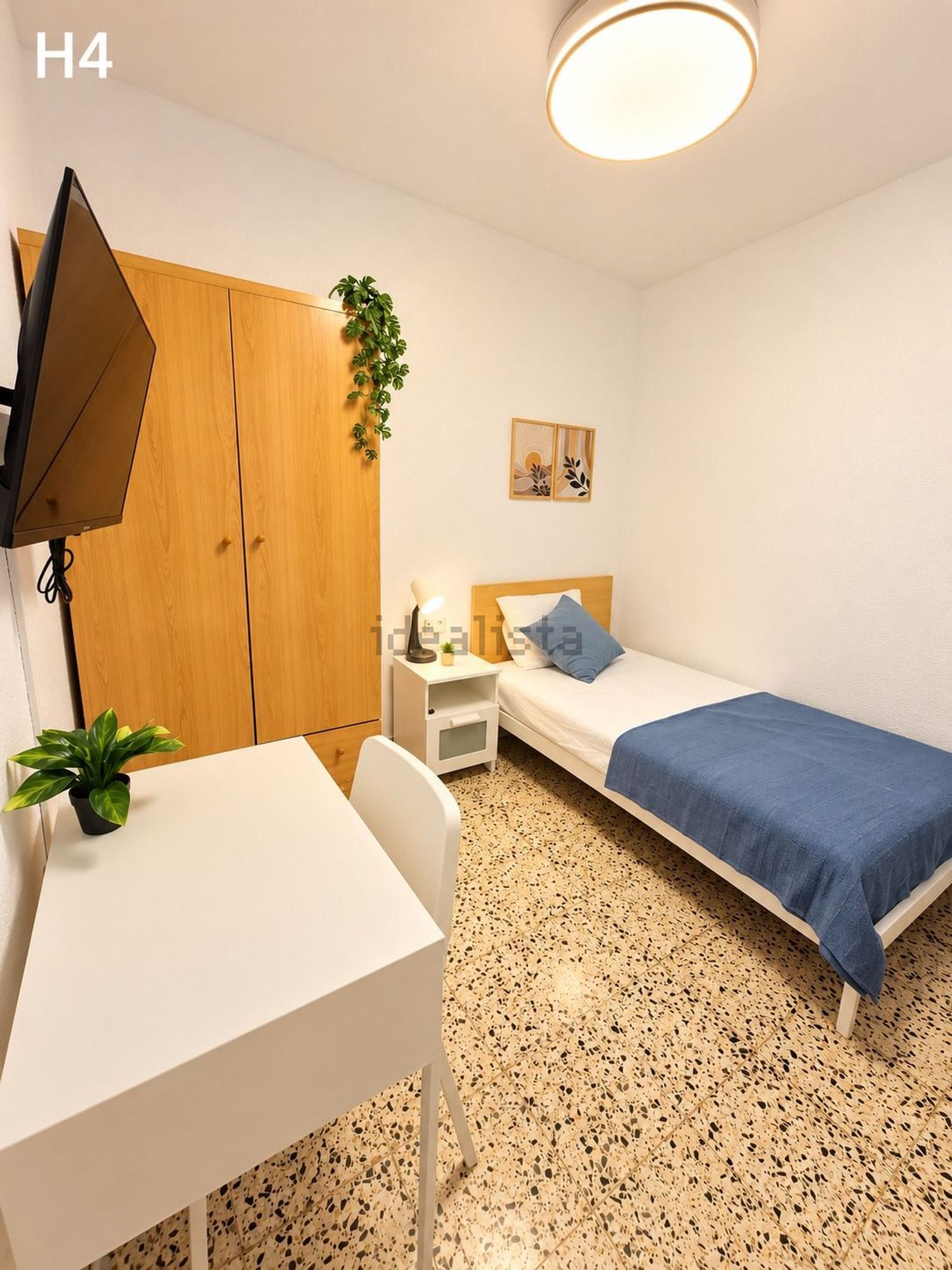 Habitació de lloguer, Alzira
