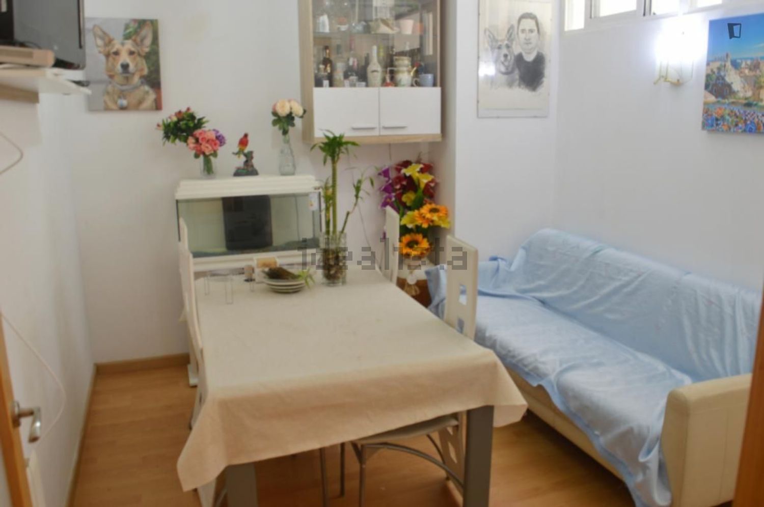 Habitació de lloguer, Barcelona