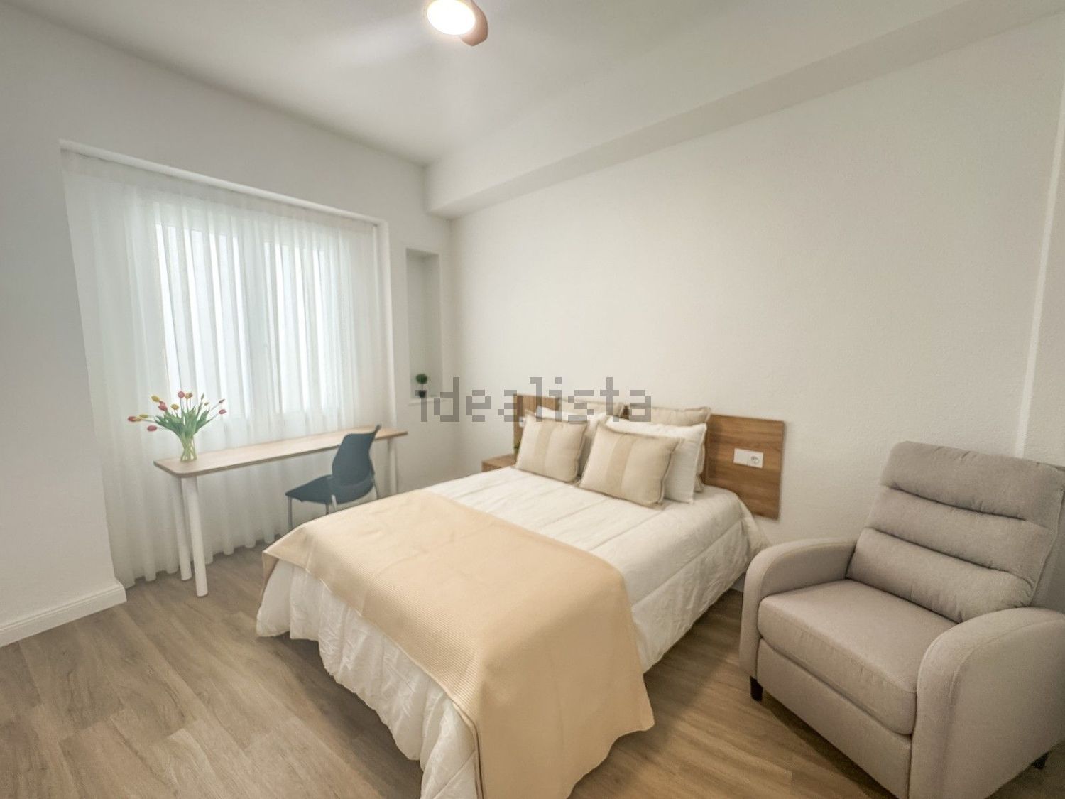 Habitació de lloguer, Elx