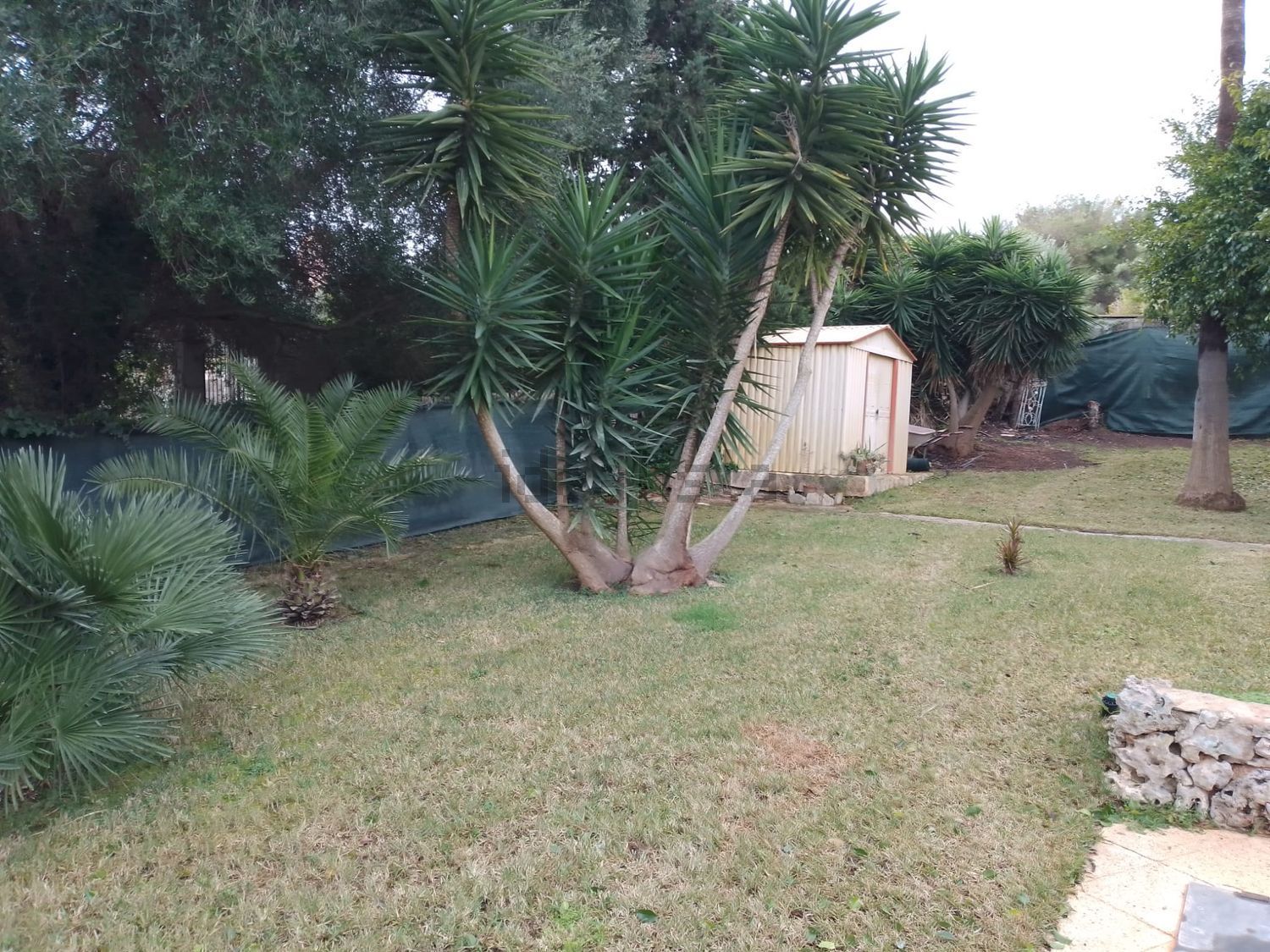 Maison 325 m² à Manacor