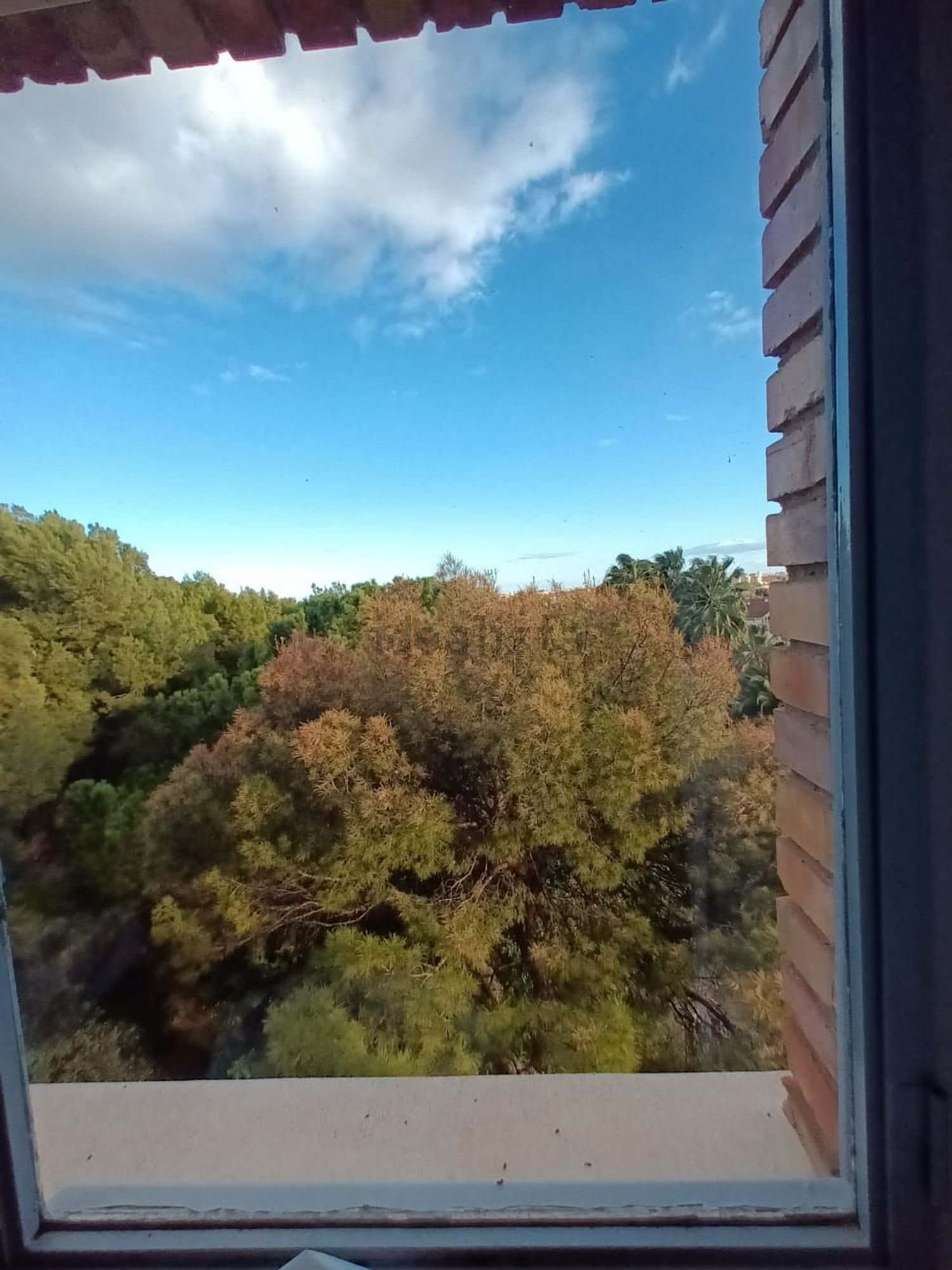 Habitació de lloguer, Burjassot