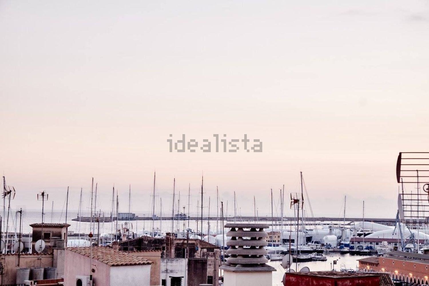 Stanza in affitto, Palma