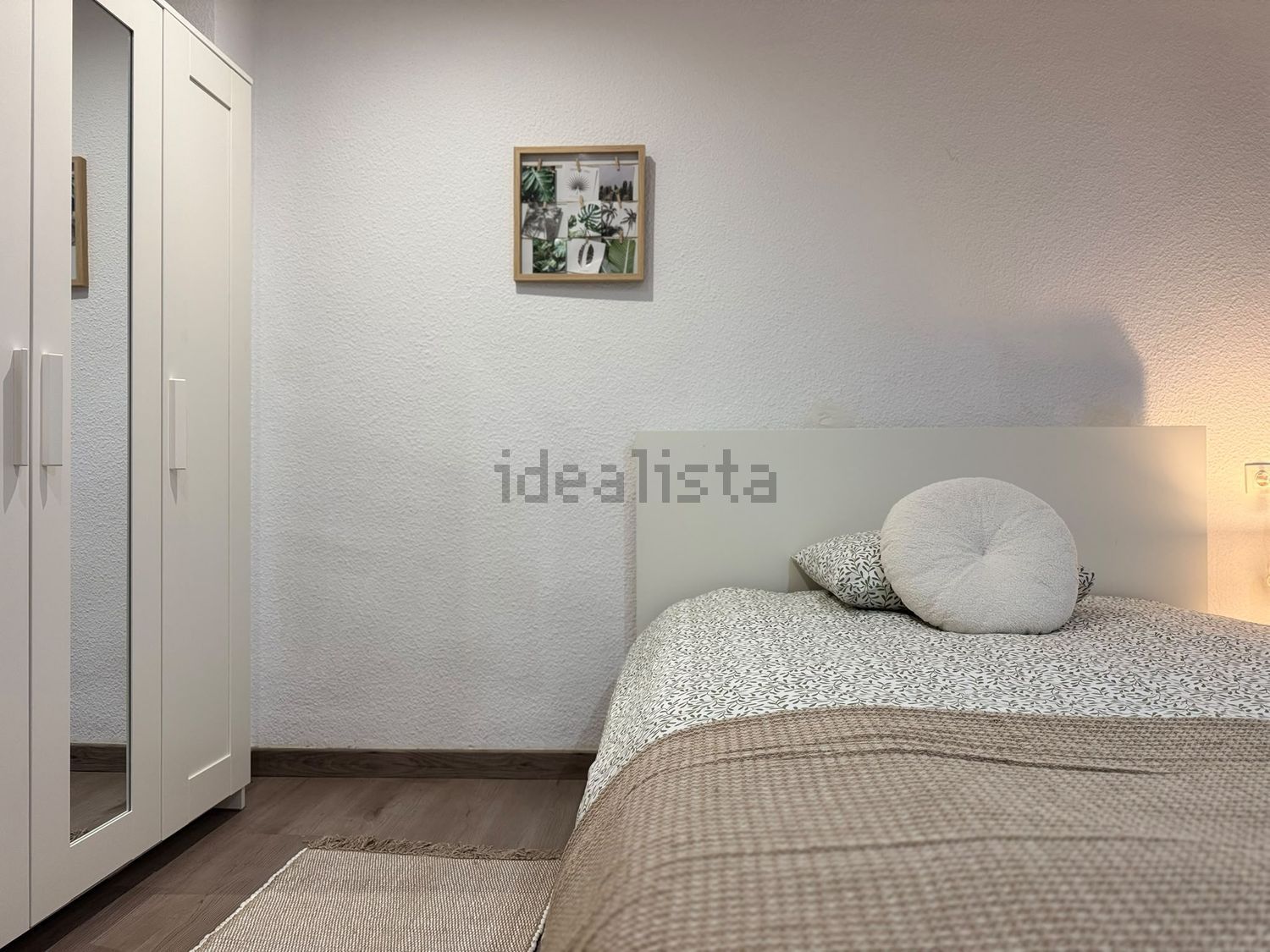 Habitació de lloguer, Elx