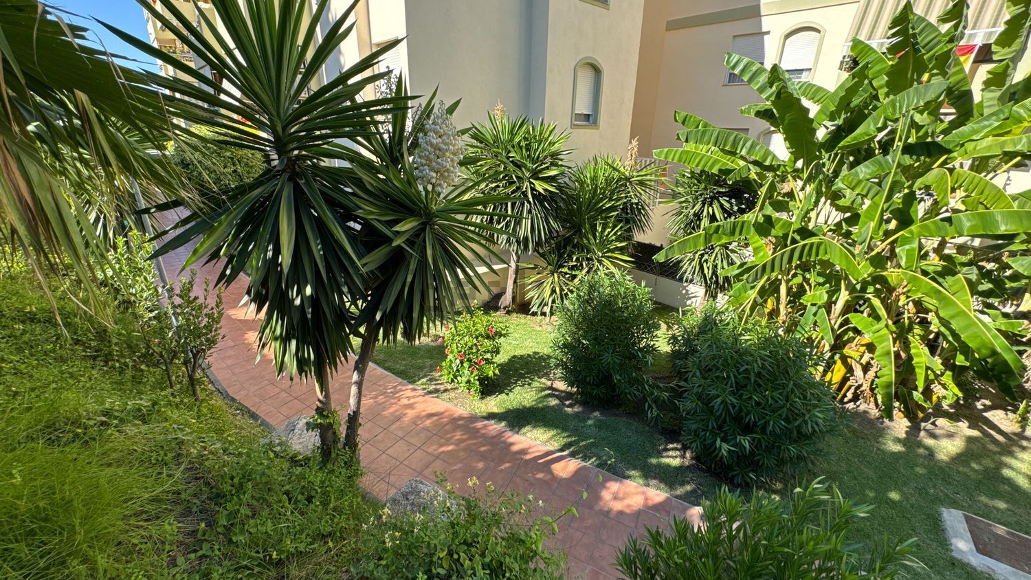 Habitació de lloguer, Torremolinos
