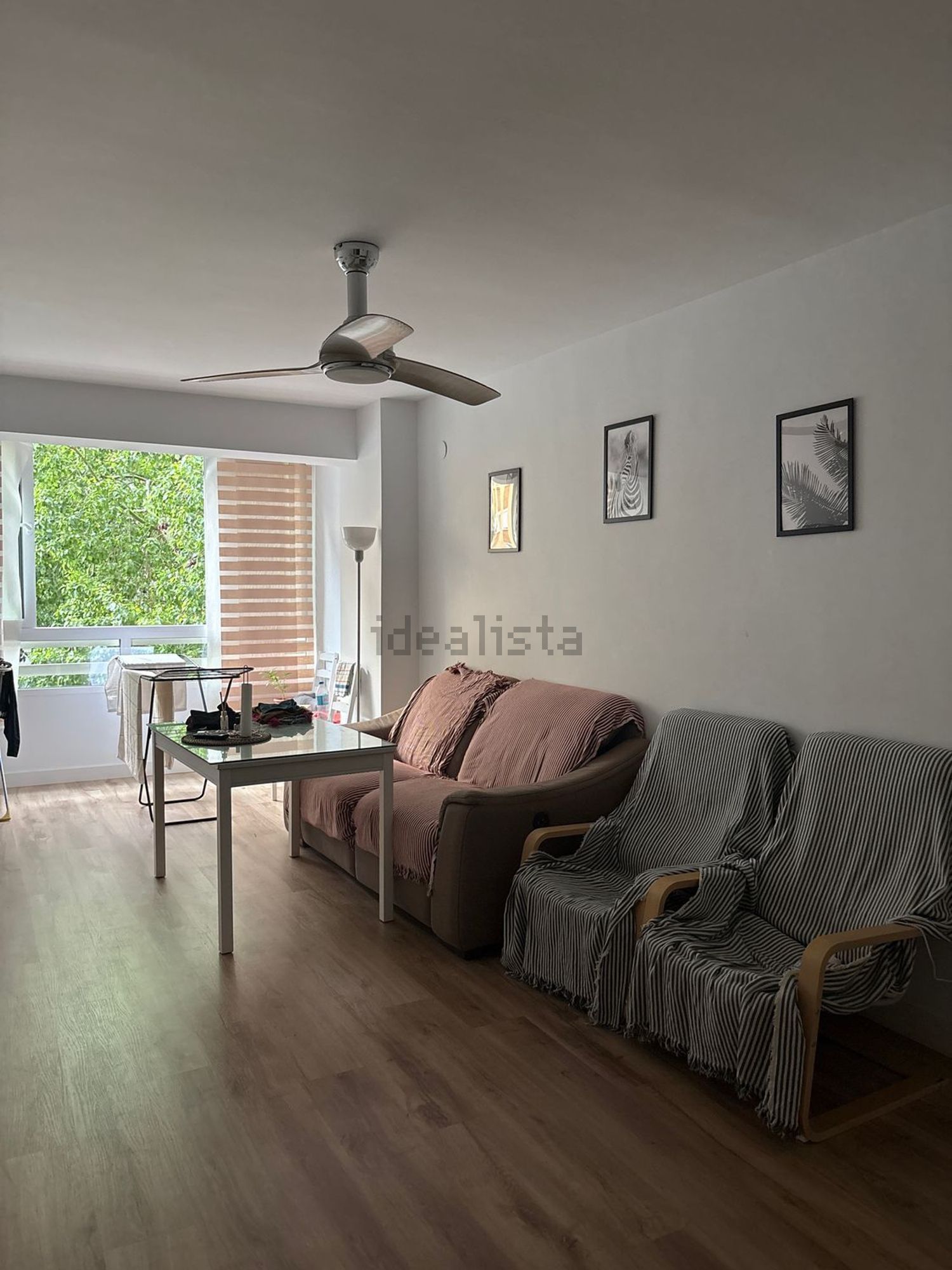 Habitació de lloguer, Màlaga