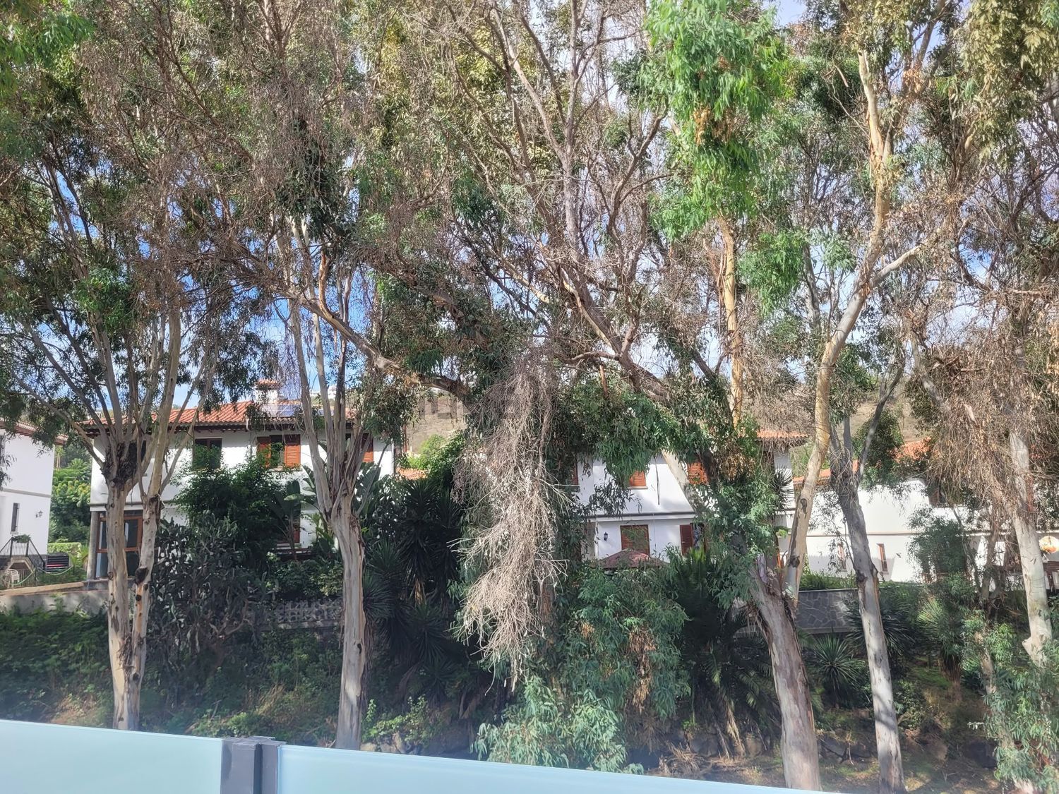 Pis de 45 m² a Arucas