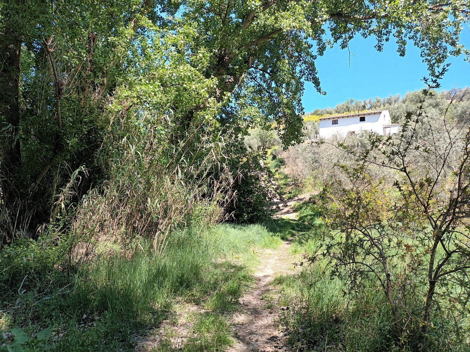 Pis de 120 m² a Quesada