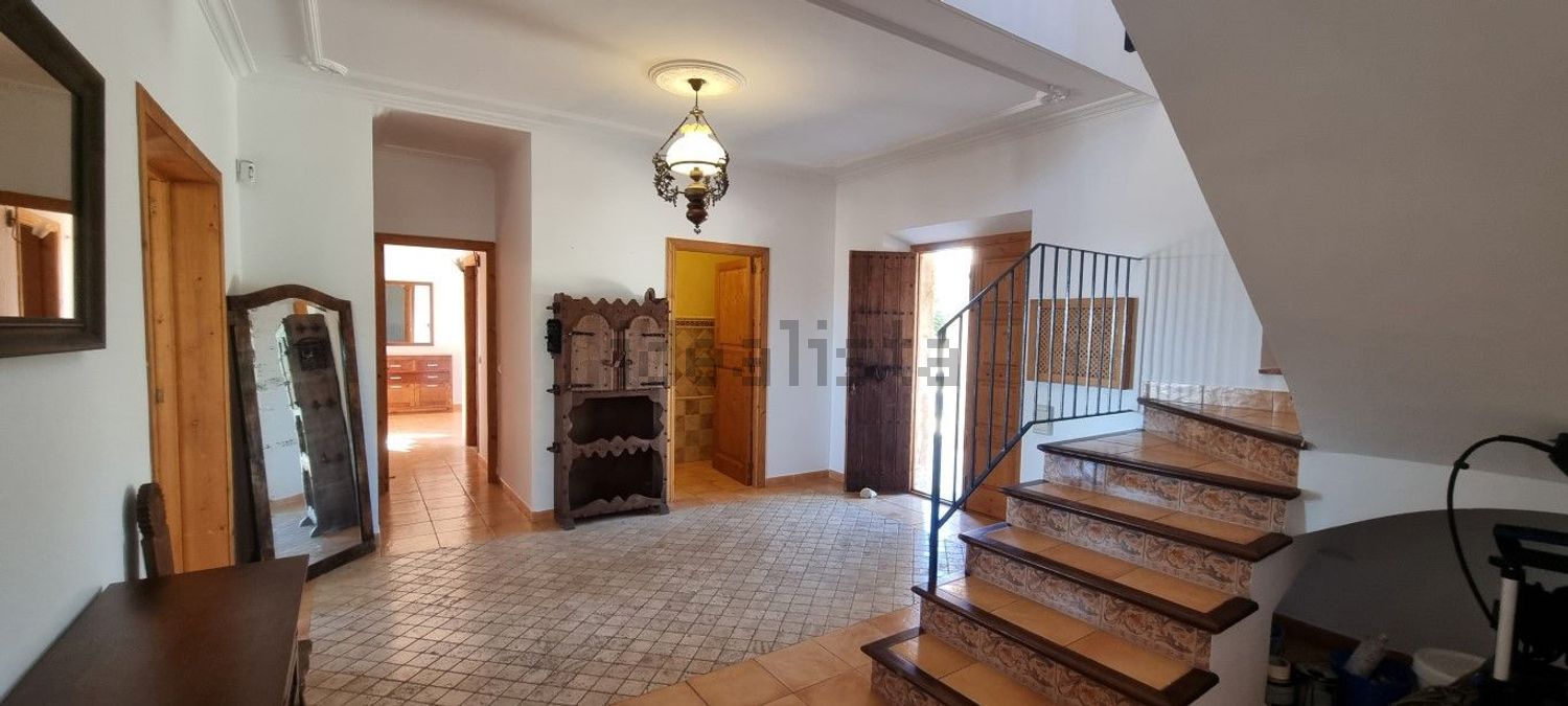 Appartement 900 m² à Felanitx