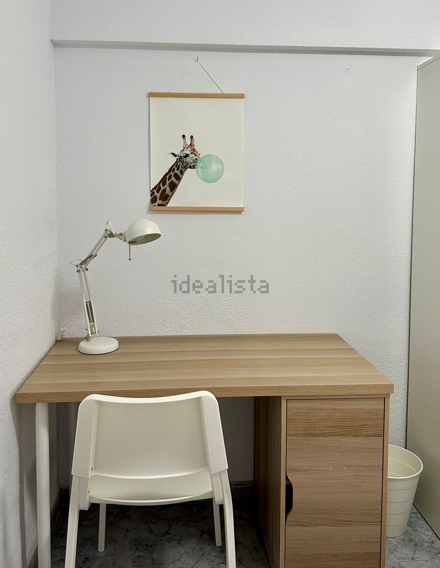 Stanza in affitto, Valencia
