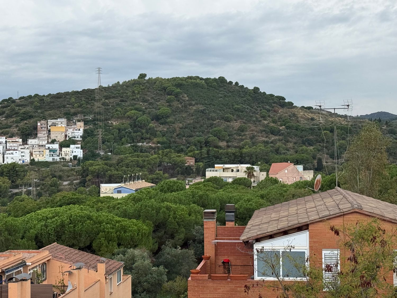 Stanza in affitto, Tiana