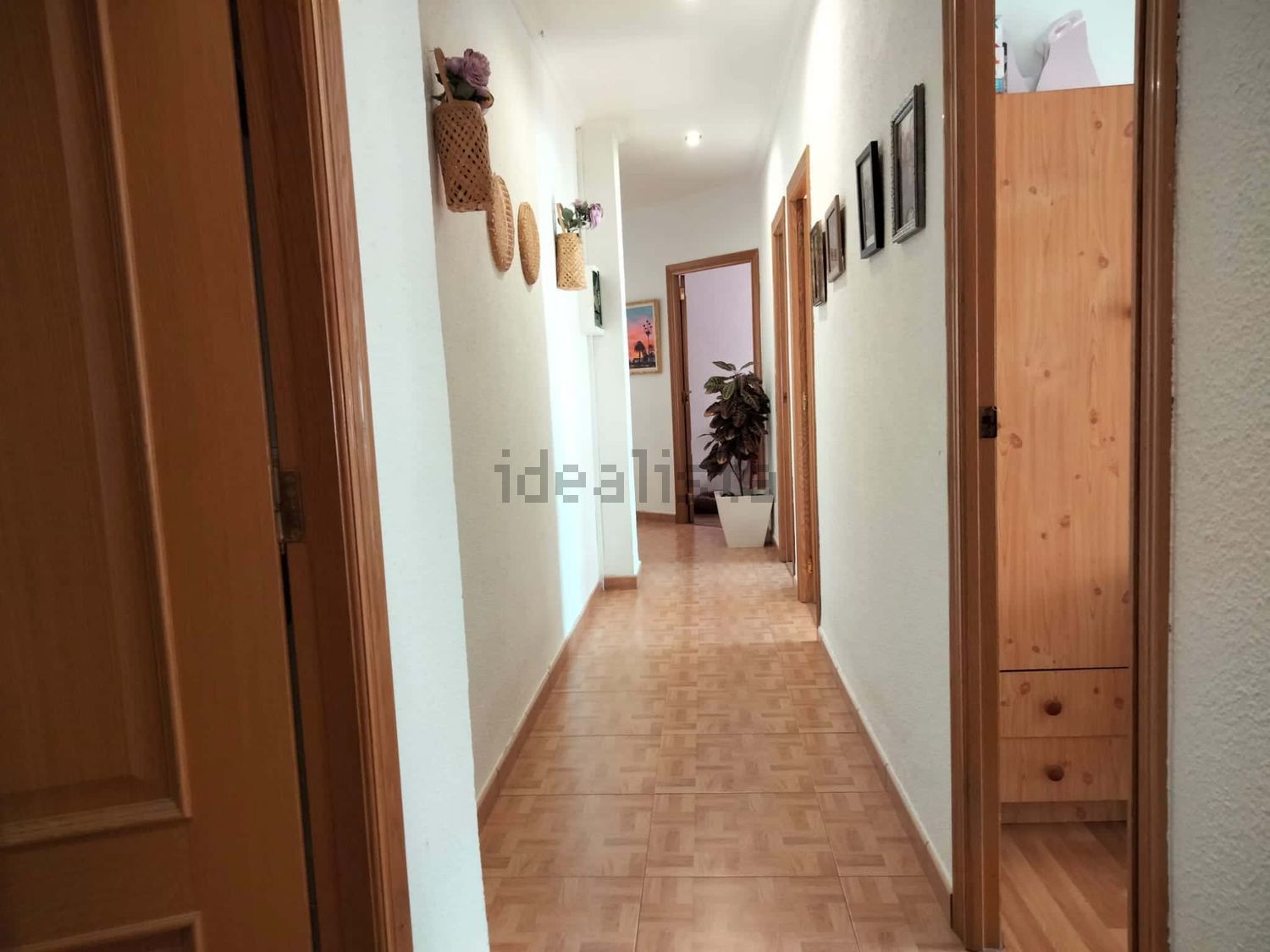 Habitación 50 m², Castellón de la Plana