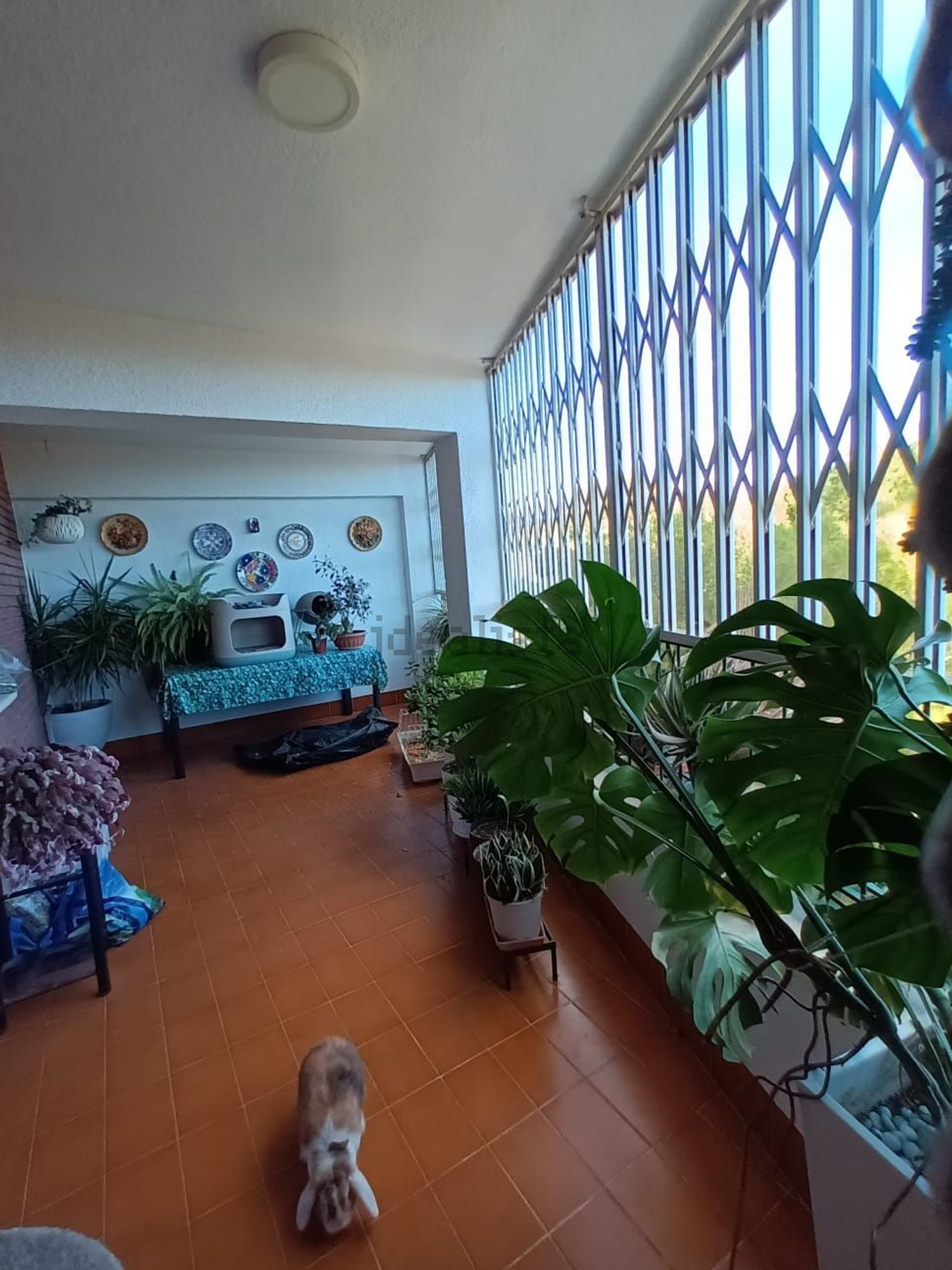 Habitació de lloguer, Burjassot