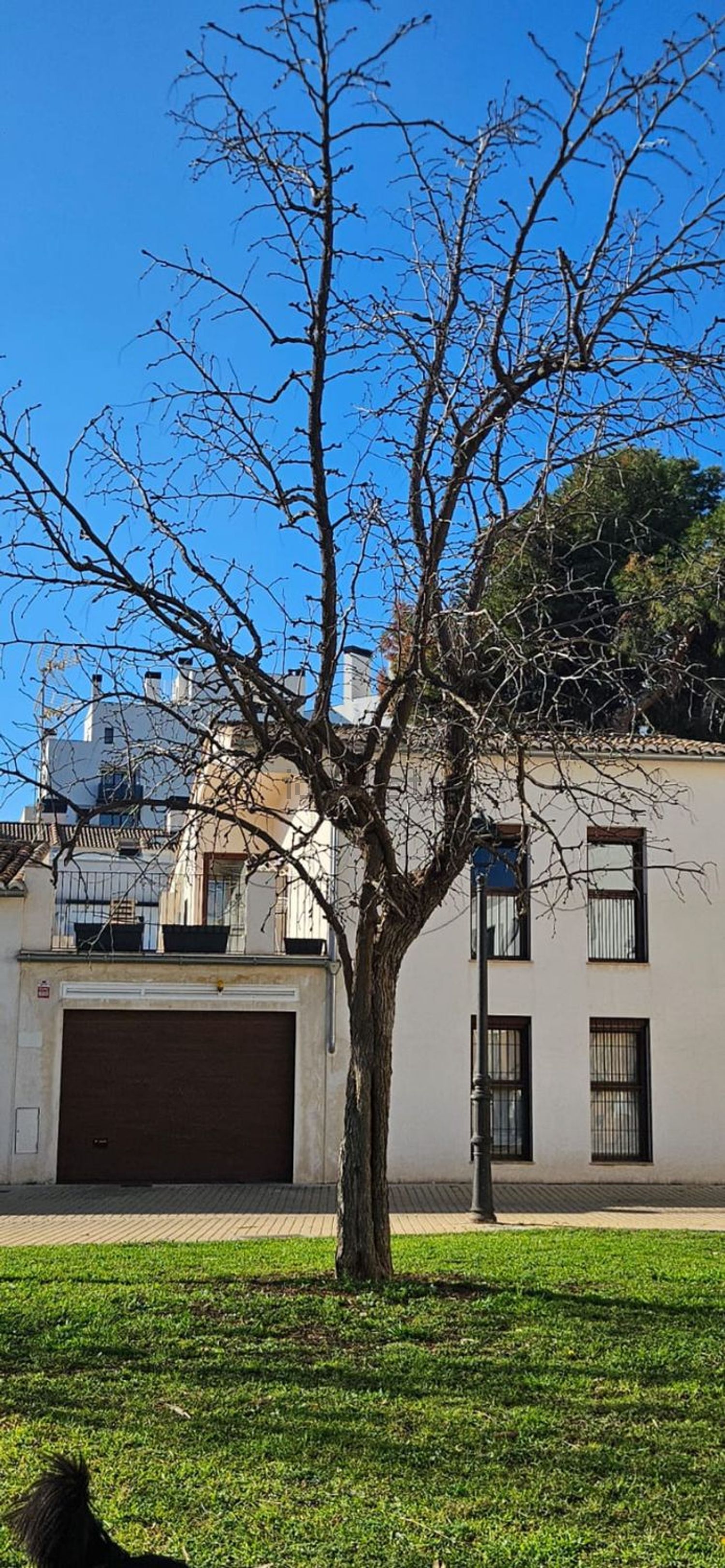 Habitación en alquiler, Valencia