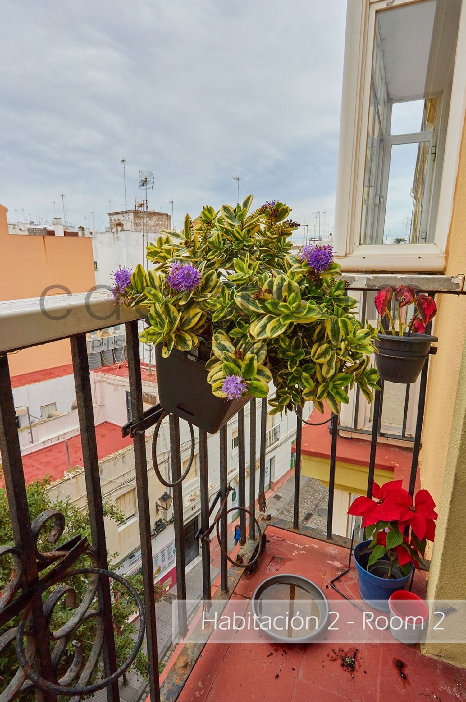 Stanza in affitto, Cádiz