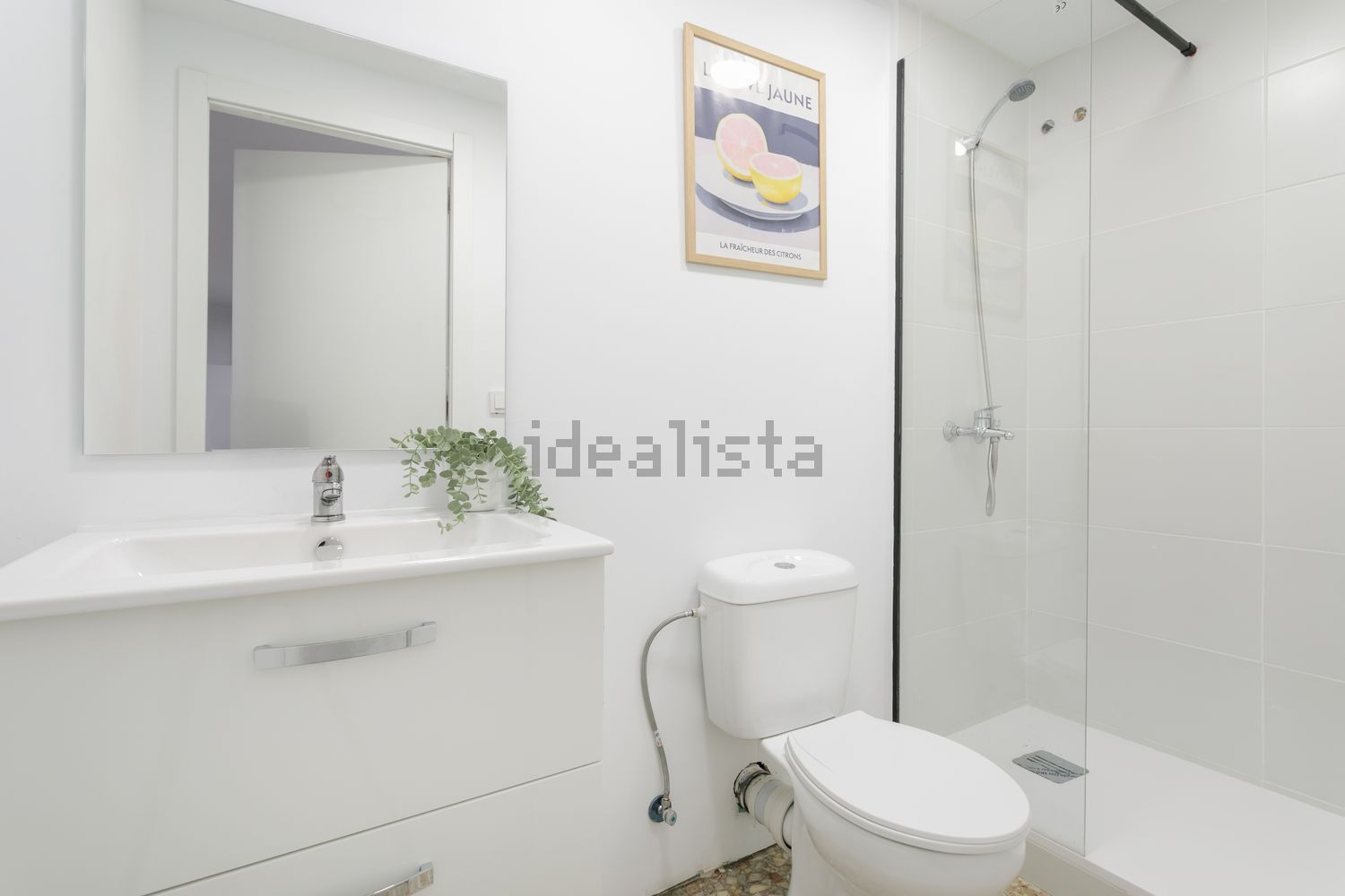 Habitació de lloguer, Alacant