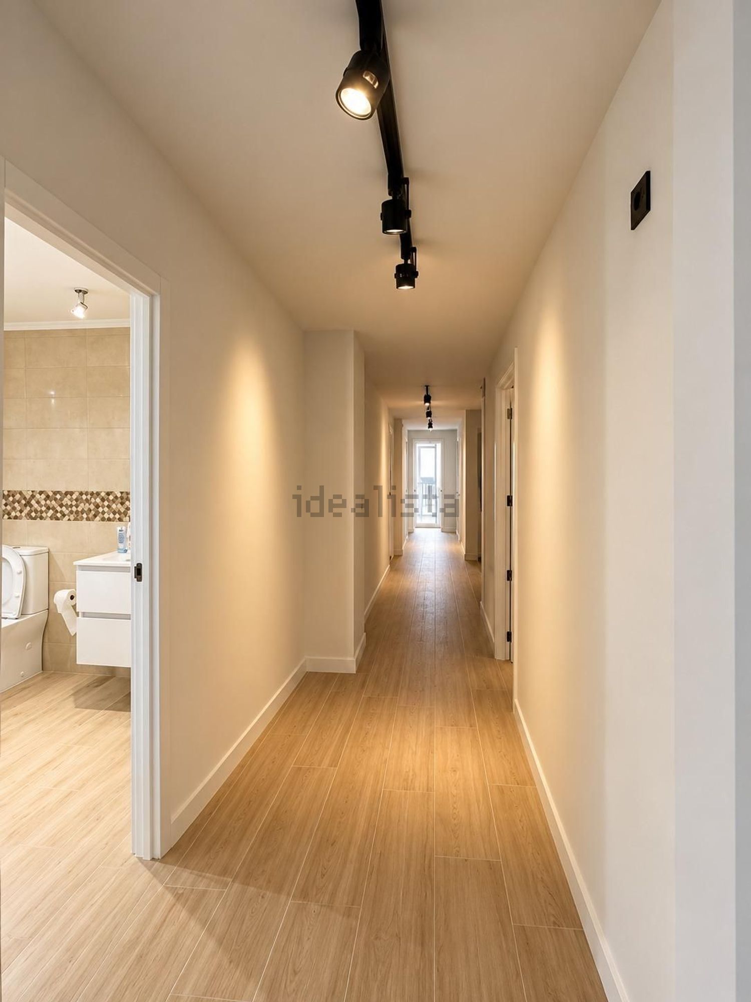 Habitació de lloguer, Elx