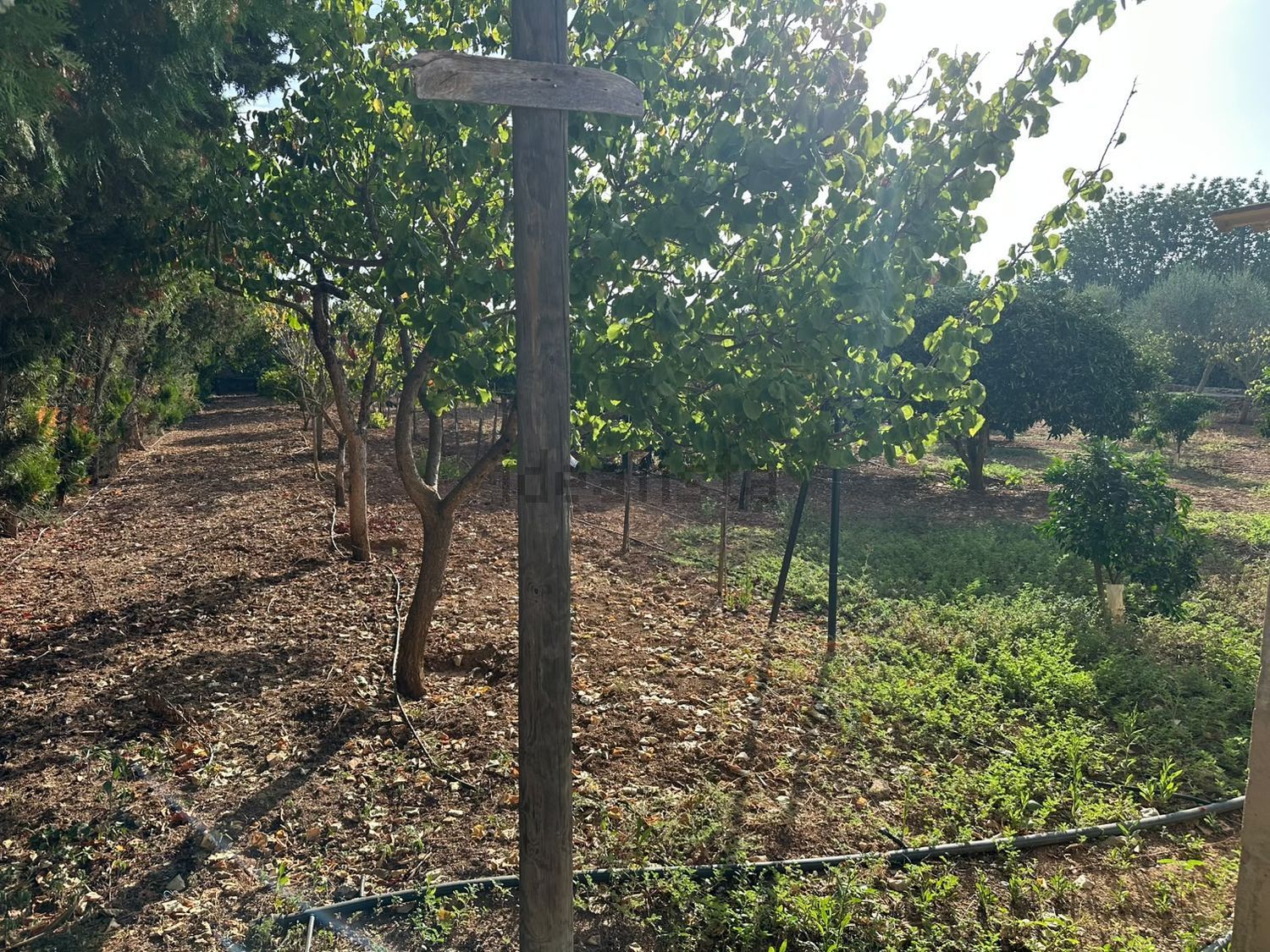 Pis de 614 m² a Sencelles