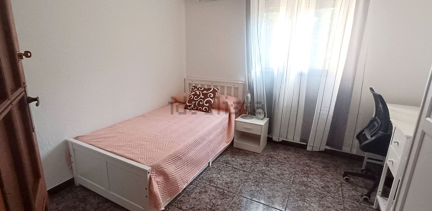 Habitació de lloguer, Sevilla