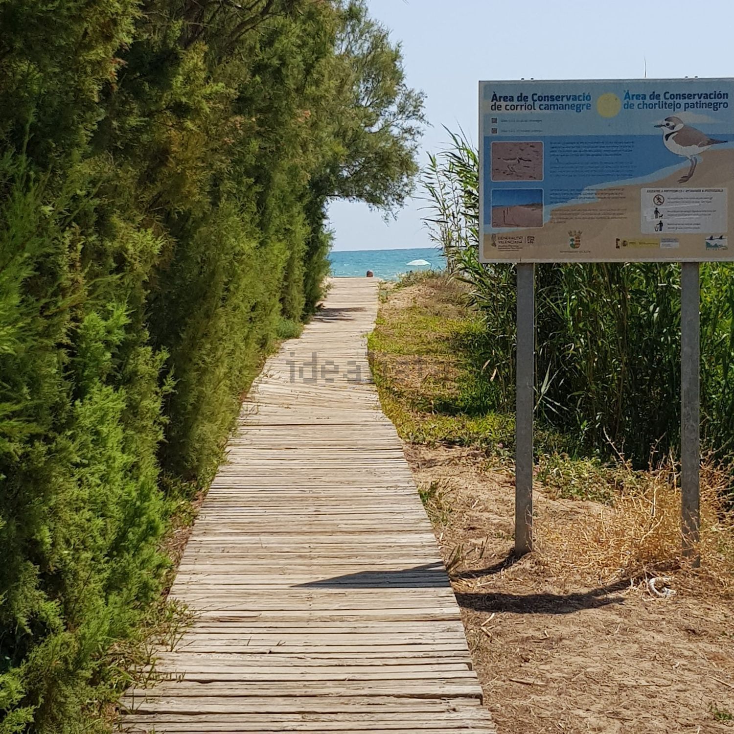Appartamento 70 m² a Oliva
